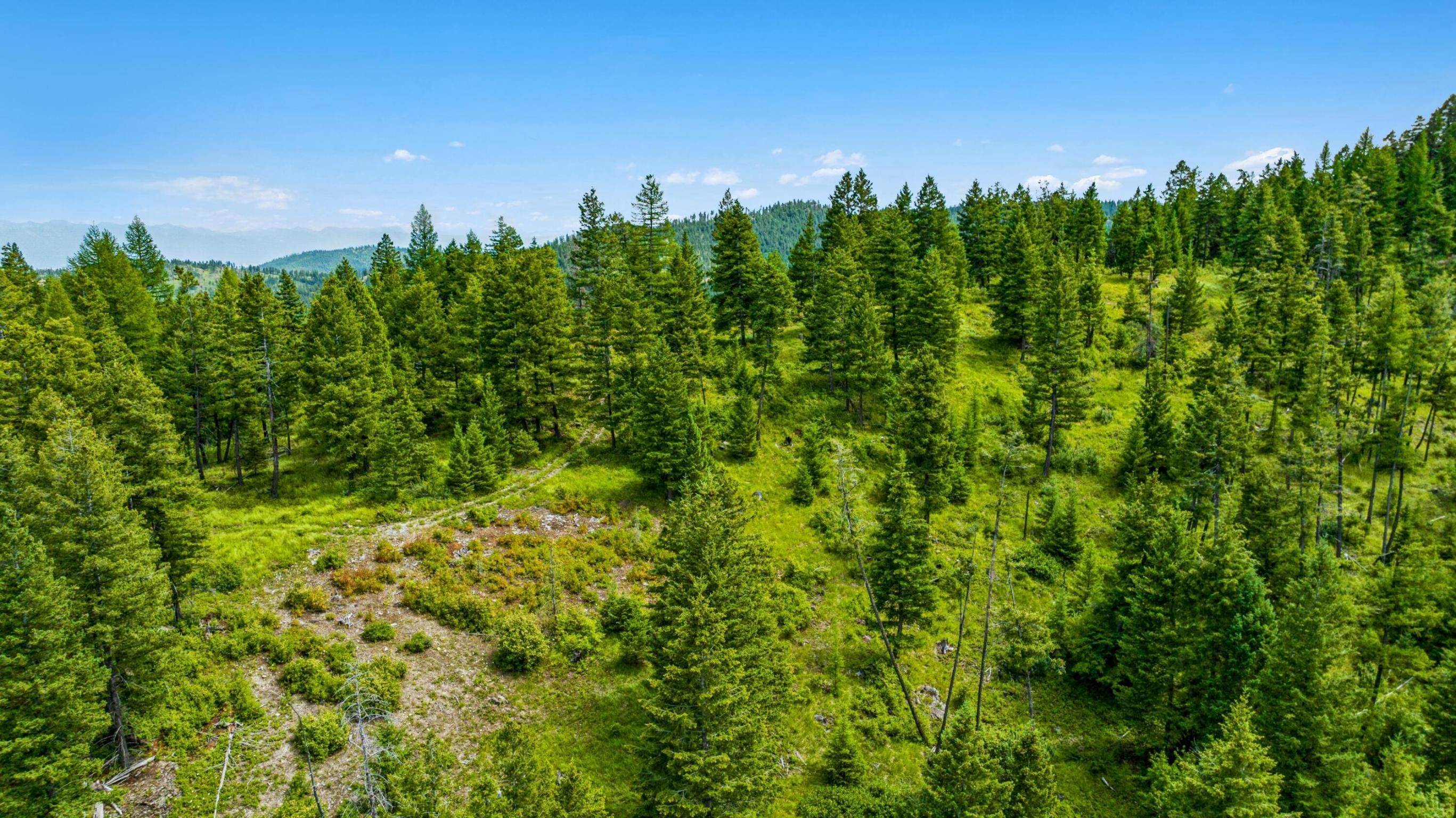 4. Land for Sale at Nhn Go Away Lane, Kalispell, Montana 59901 United States