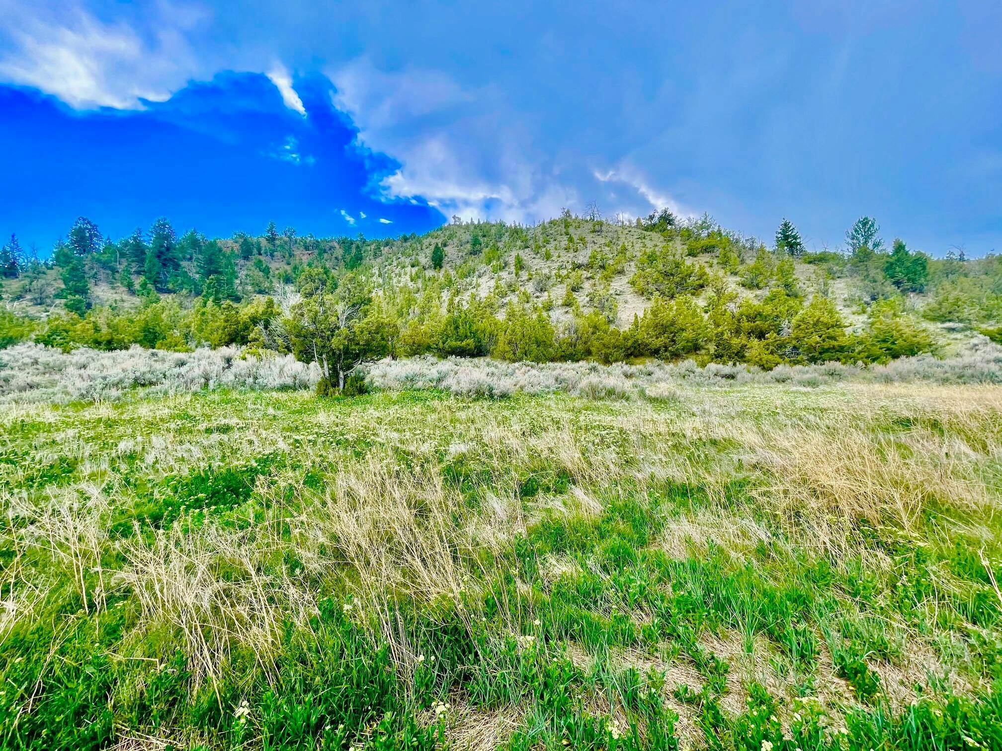 4. Land for Sale at Tbd Dry Creek Road, Townsend, Montana 59644 United States