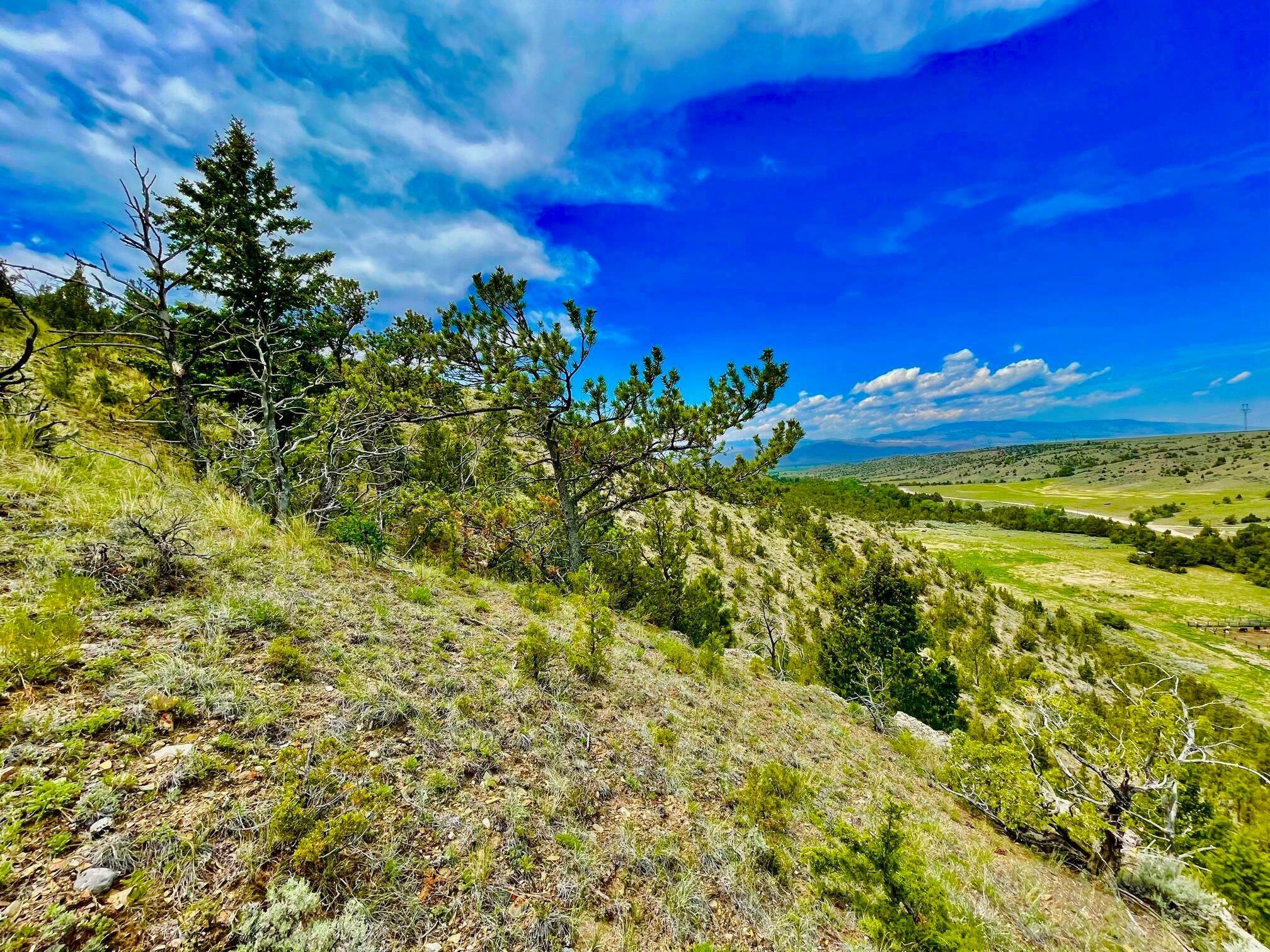 8. Land for Sale at Tbd Dry Creek Road, Townsend, Montana 59644 United States