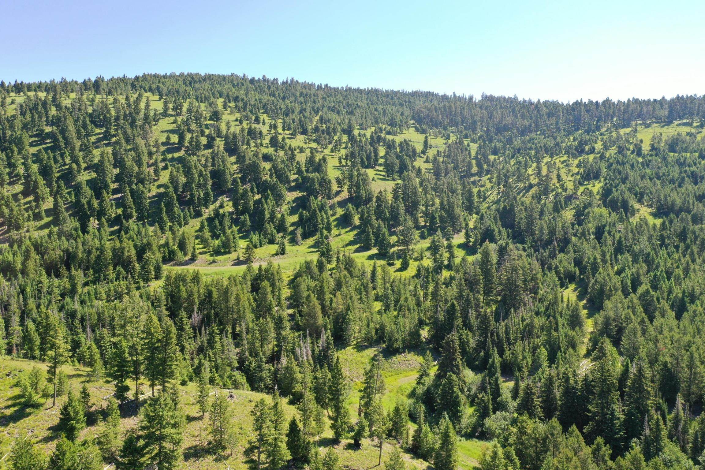 Land for Sale at 6 Tract, Dry Gulch, Clinton, Montana 59825 United States