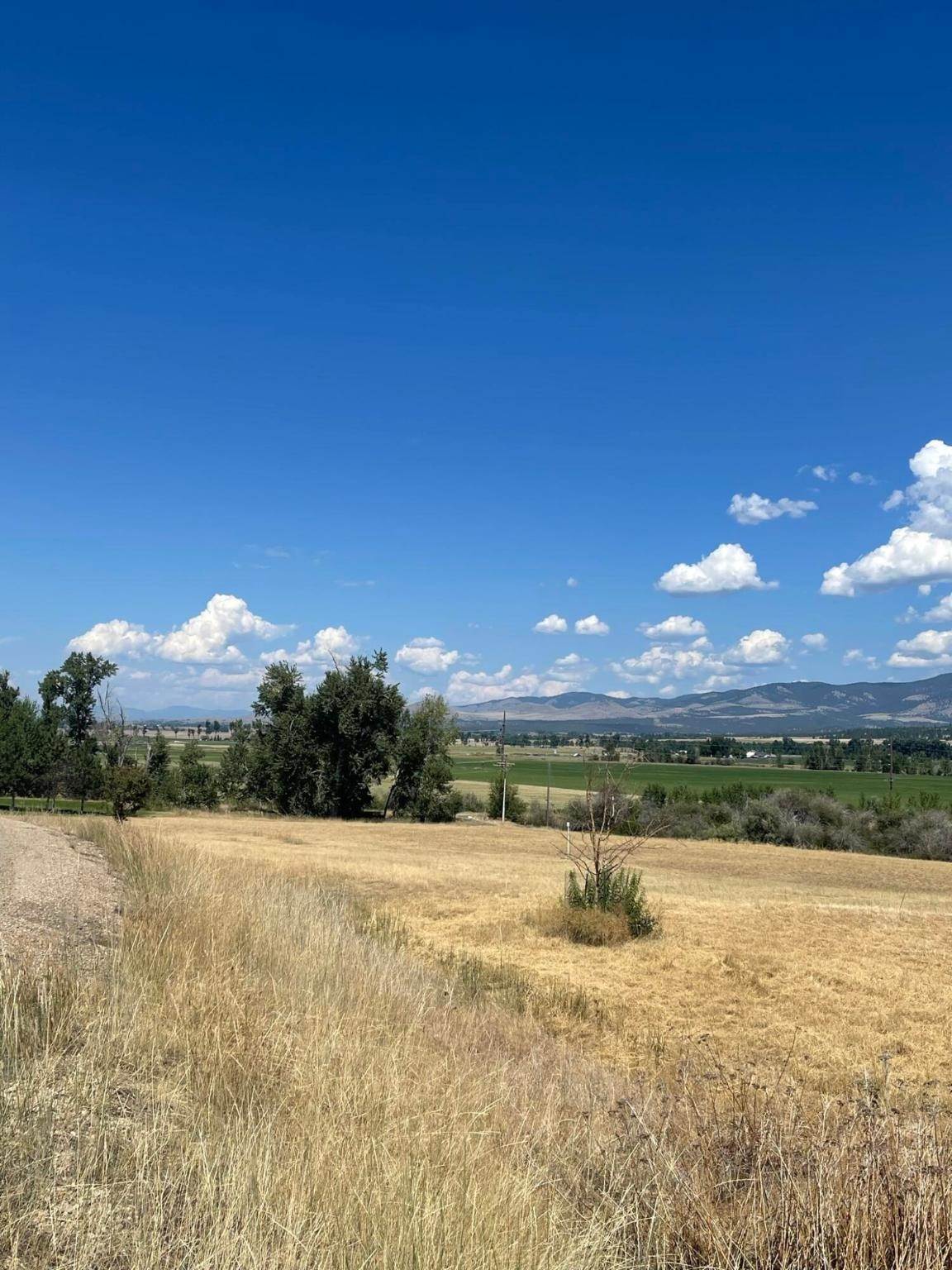 19. Land for Sale at 826 Arrow Hill Ranch Road, Hamilton, Montana 59840 United States