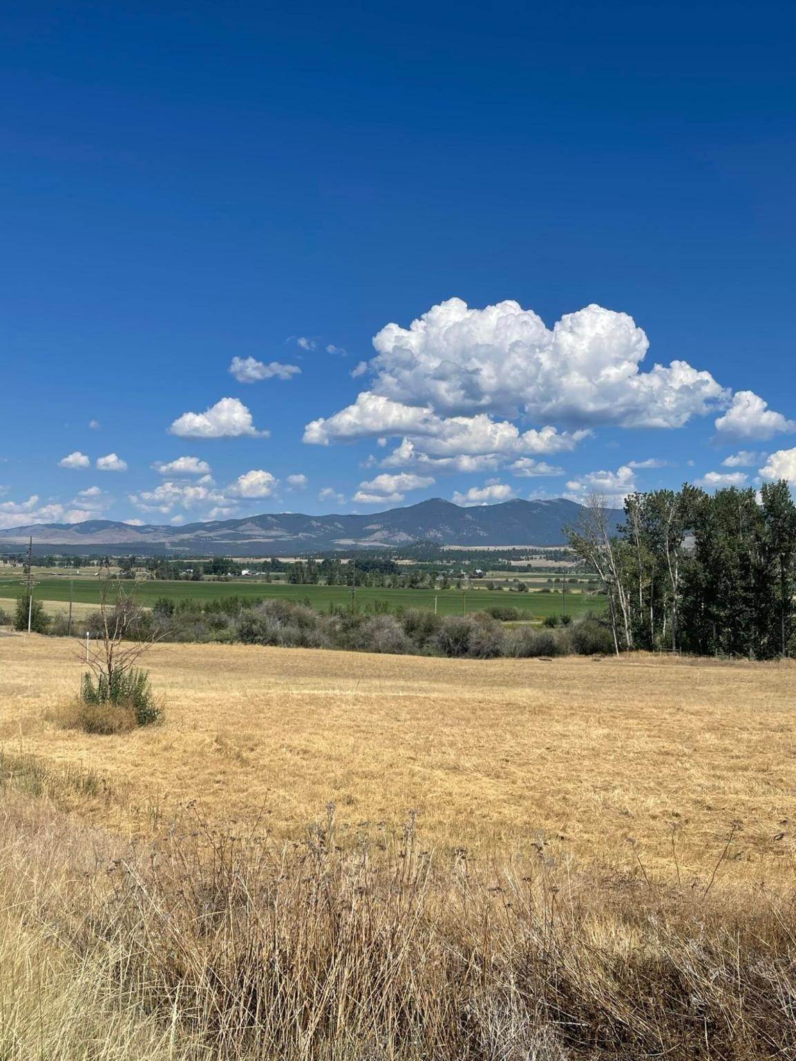 6. Land for Sale at 826 Arrow Hill Ranch Road, Hamilton, Montana 59840 United States