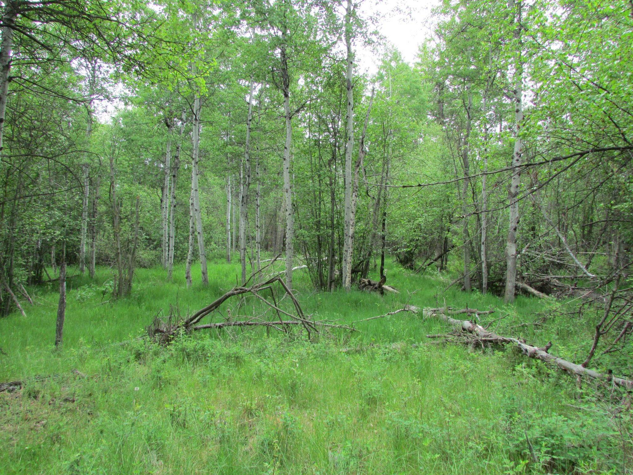 5. Land for Sale at 300 Meadowood Lane, Victor, Montana 59875 United States