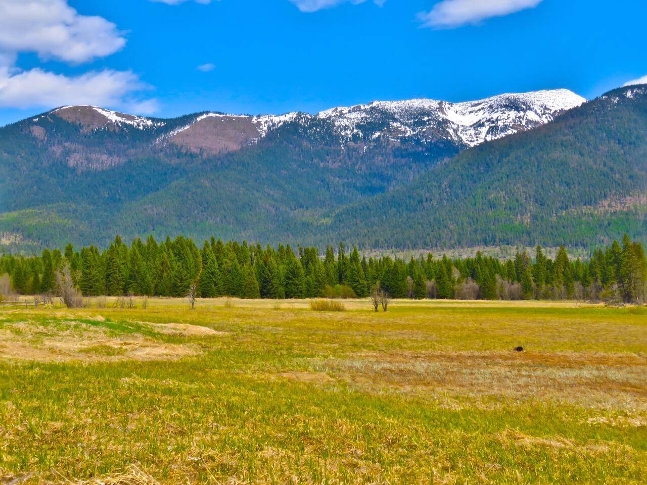 12. Land for Sale at 895 Mud Lake Road, Bigfork, Montana 59911 United States
