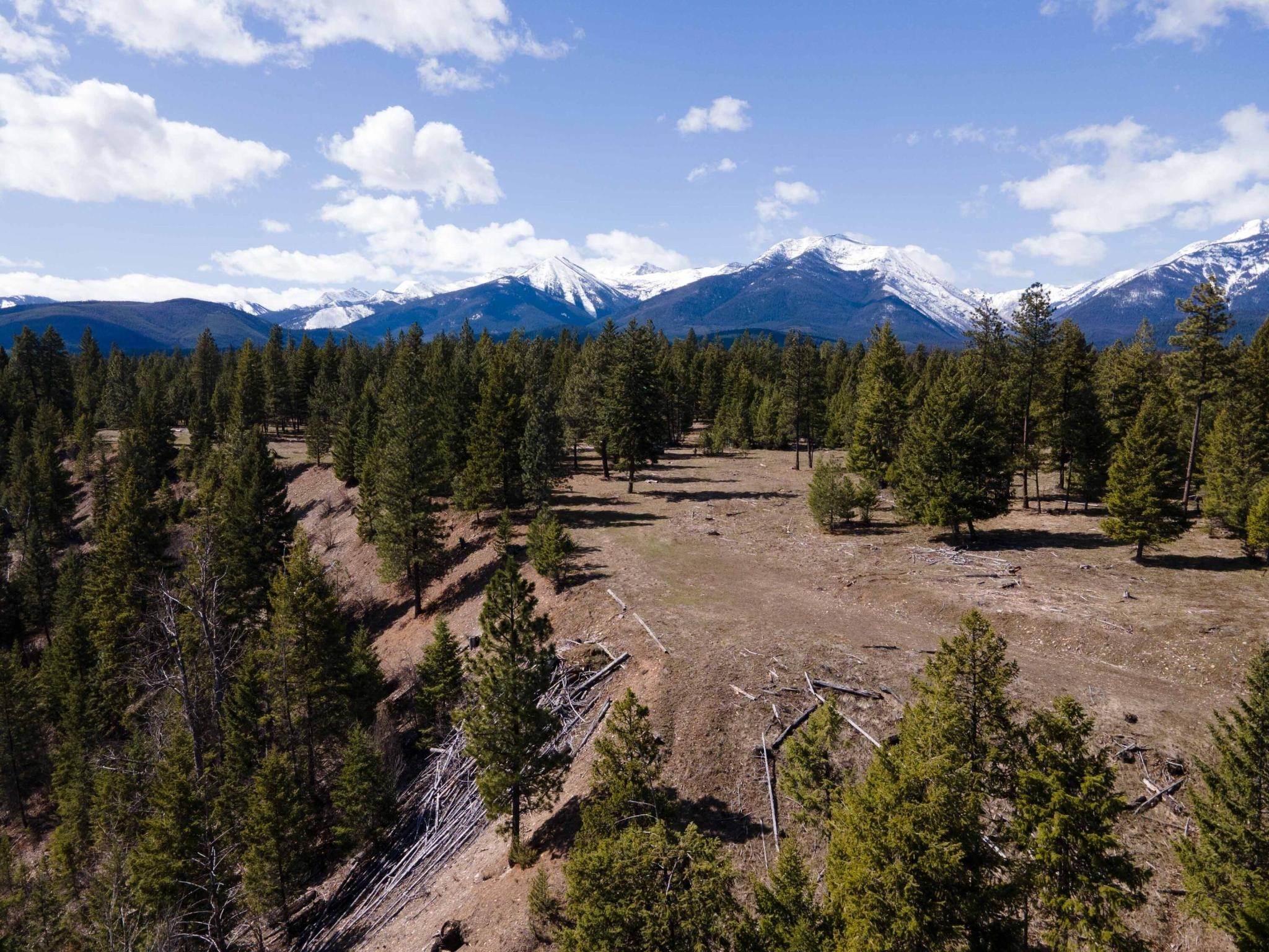 Land for Sale at 893 Mustang Lane, Libby, Montana 59923 United States