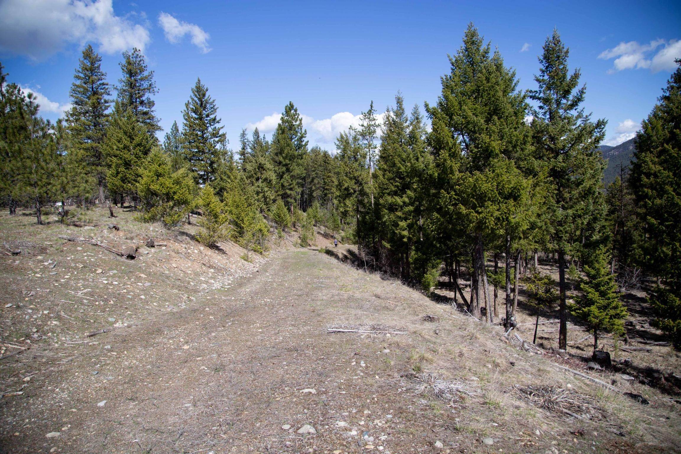 9. Land for Sale at 893 Mustang Lane, Libby, Montana 59923 United States
