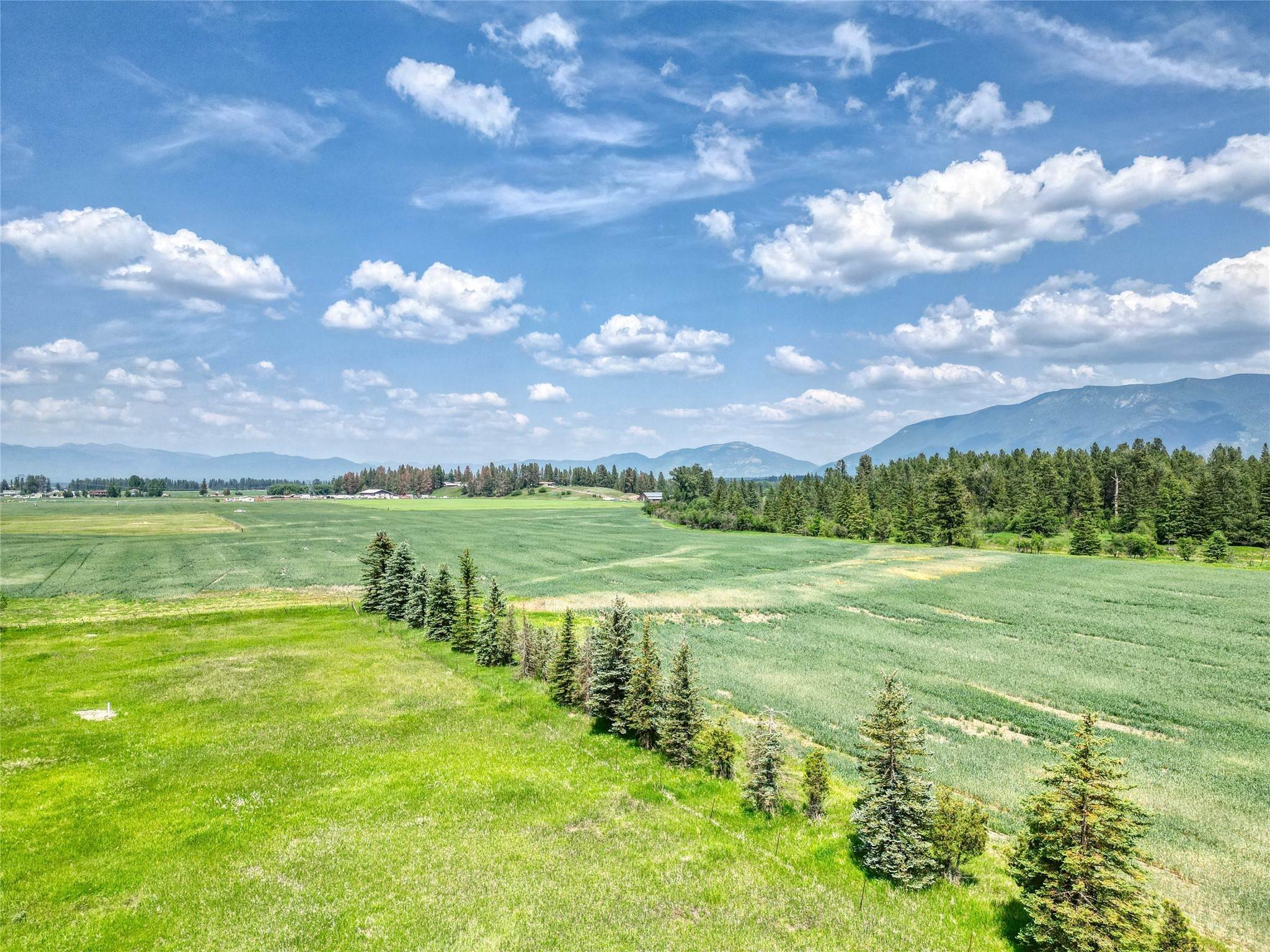 13. Land for Sale at Nhn Mountain Top Lane, Kalispell, Montana 59901 United States
