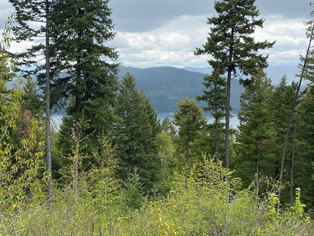 20. Land for Sale at 201 Whitefish Lookout Road, Whitefish, Montana 59937 United States