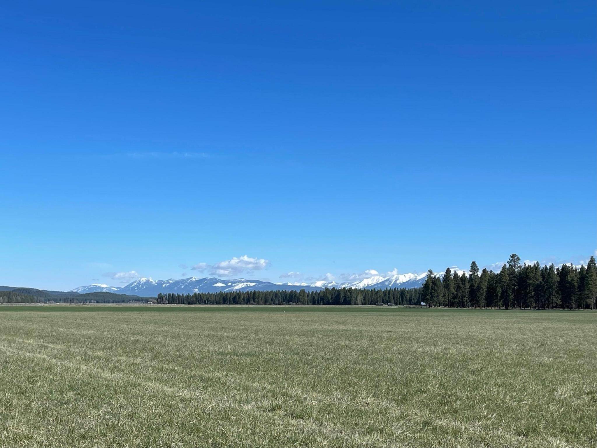 2. Land for Sale at 237 Kuhns Meadow Lane, Whitefish, Montana 59937 United States
