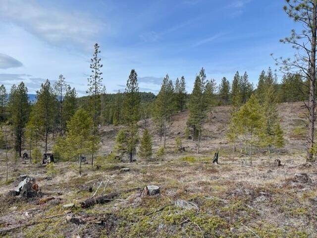 3. Land for Sale at Lot 36 Barnum Drive, Libby, Montana 59923 United States