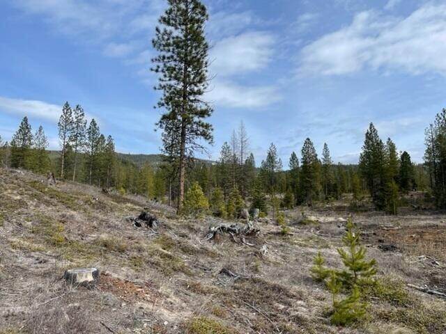 5. Land for Sale at Lot 36 Barnum Drive, Libby, Montana 59923 United States