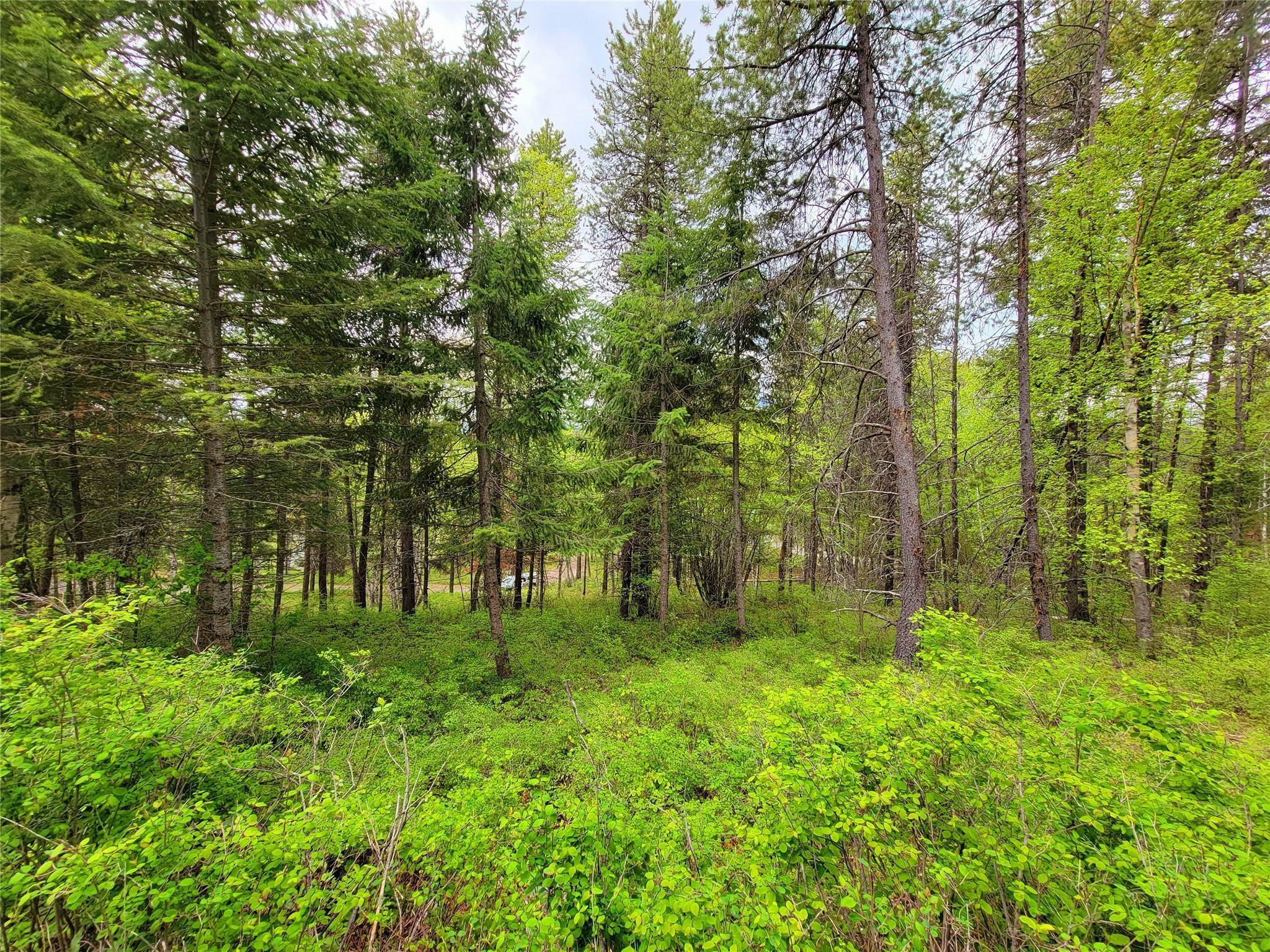 9. Land for Sale at 4C Reservoir Road, Whitefish, Montana 59937 United States