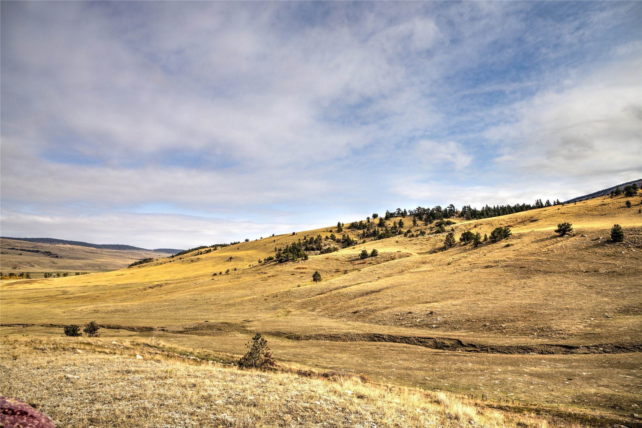2. Farm for Sale at NHN South Fork Road, Hobson, Montana 59452 United States