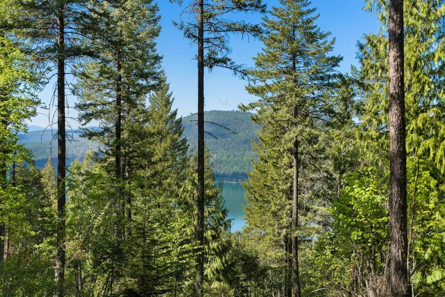 3. Land for Sale at 121 Whitefish Lookout Road, Whitefish, Montana 59937 United States