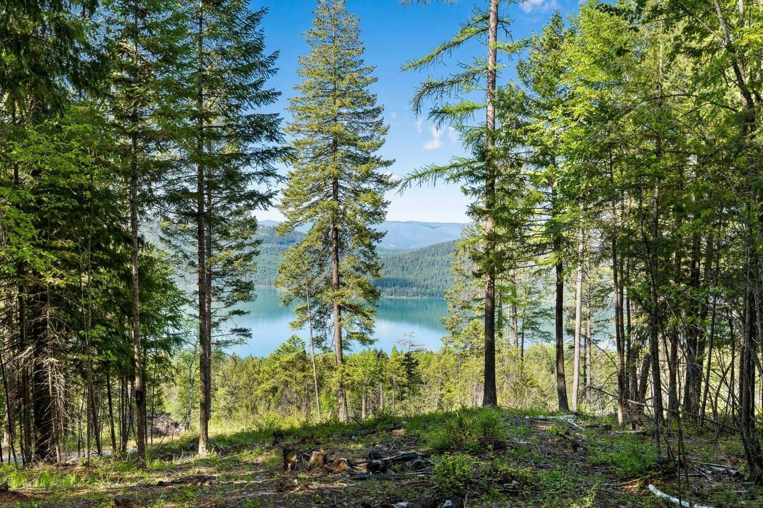 6. Land for Sale at 121 Whitefish Lookout Road, Whitefish, Montana 59937 United States