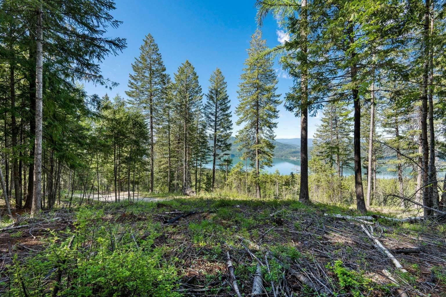 9. Land for Sale at 121 Whitefish Lookout Road, Whitefish, Montana 59937 United States