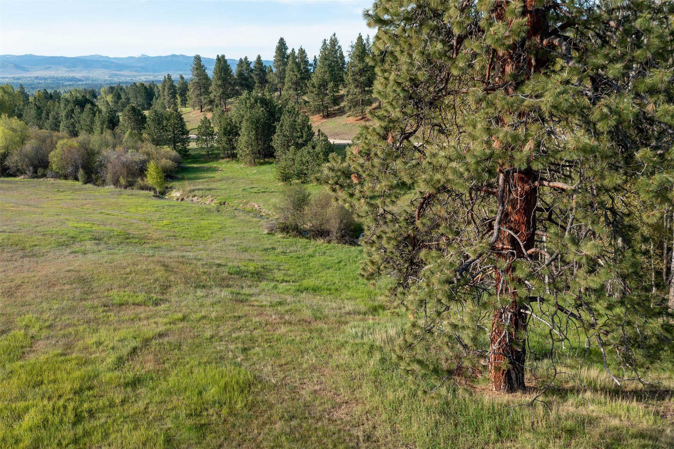 12. Land for Sale at Nya Great Wolf Road, Hamilton, Montana 59840 United States