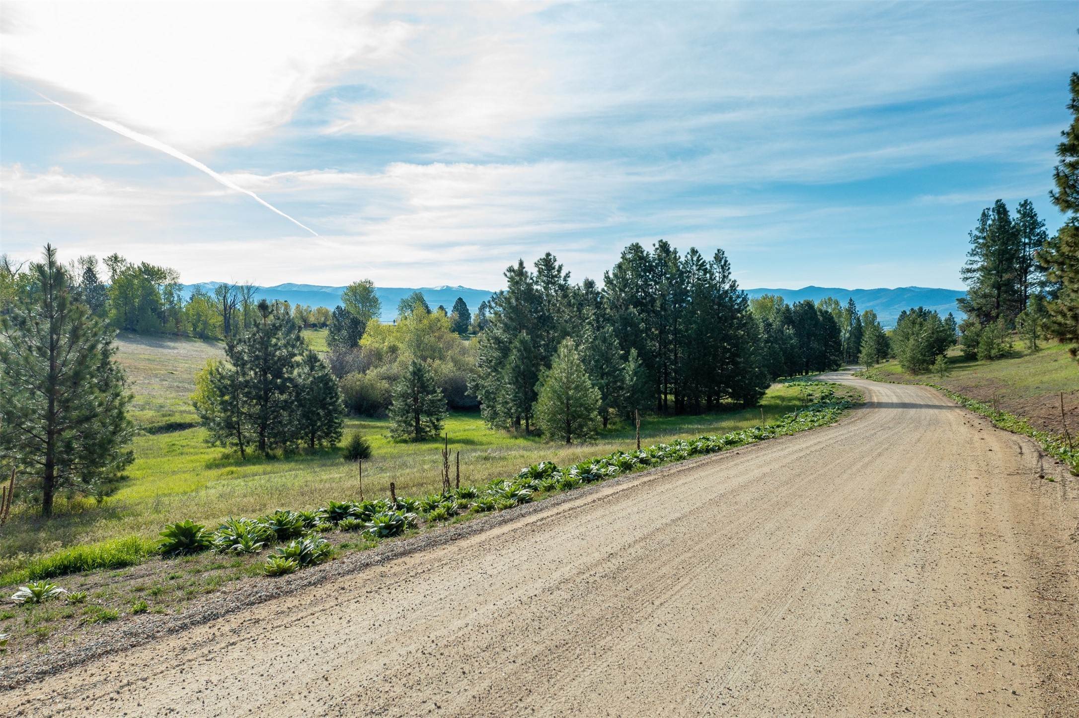 14. Land for Sale at Nya Great Wolf Road, Hamilton, Montana 59840 United States