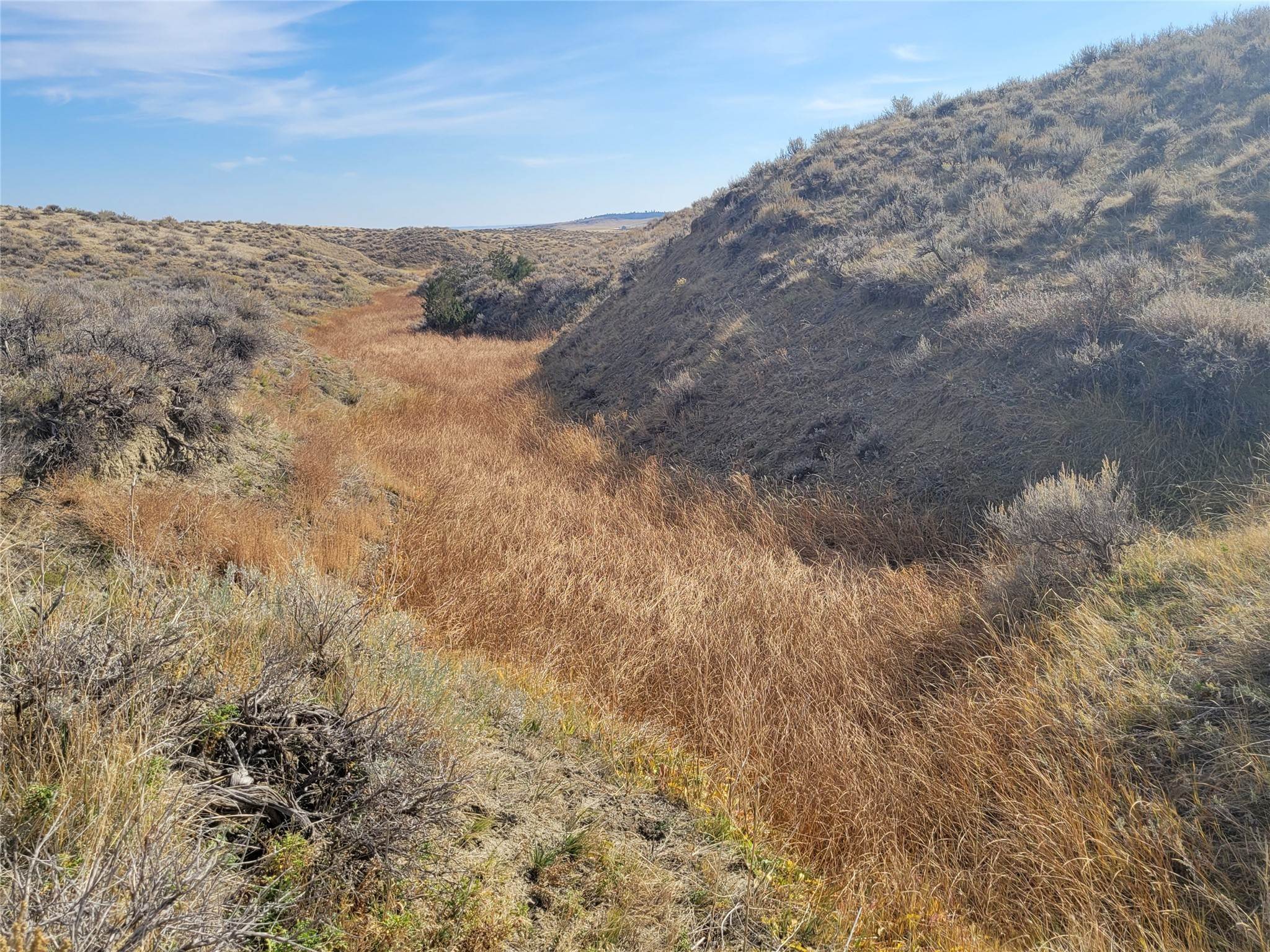 8. Land for Sale at WRR-1 Shepherd Acton Road, Billings, Montana 59101 United States