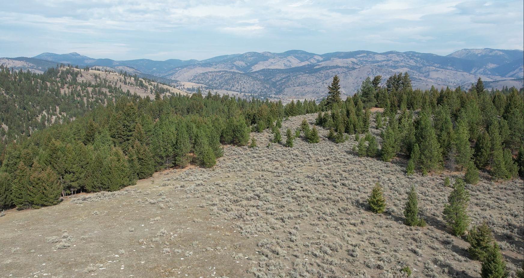 6. Land for Sale at #2 Tract, Bull Elk, Drummond, Montana 59832 United States