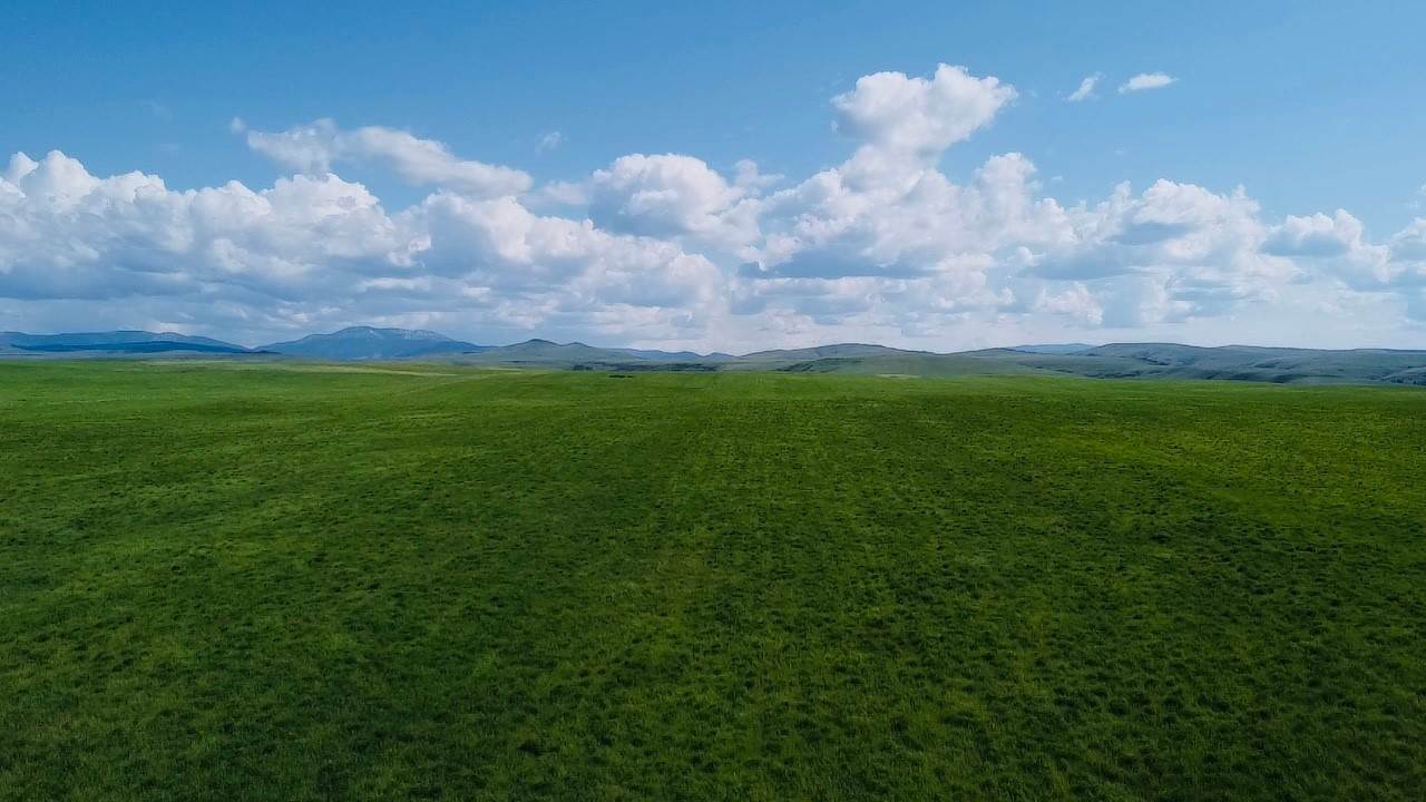 11. Land for Sale at TBD Cora Creek Road, Belt, Montana 59412 United States