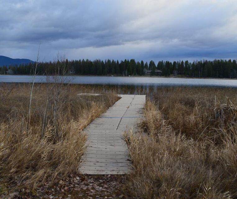 11. Land for Sale at 105 Blanchard View Drive, Whitefish, Montana 59937 United States