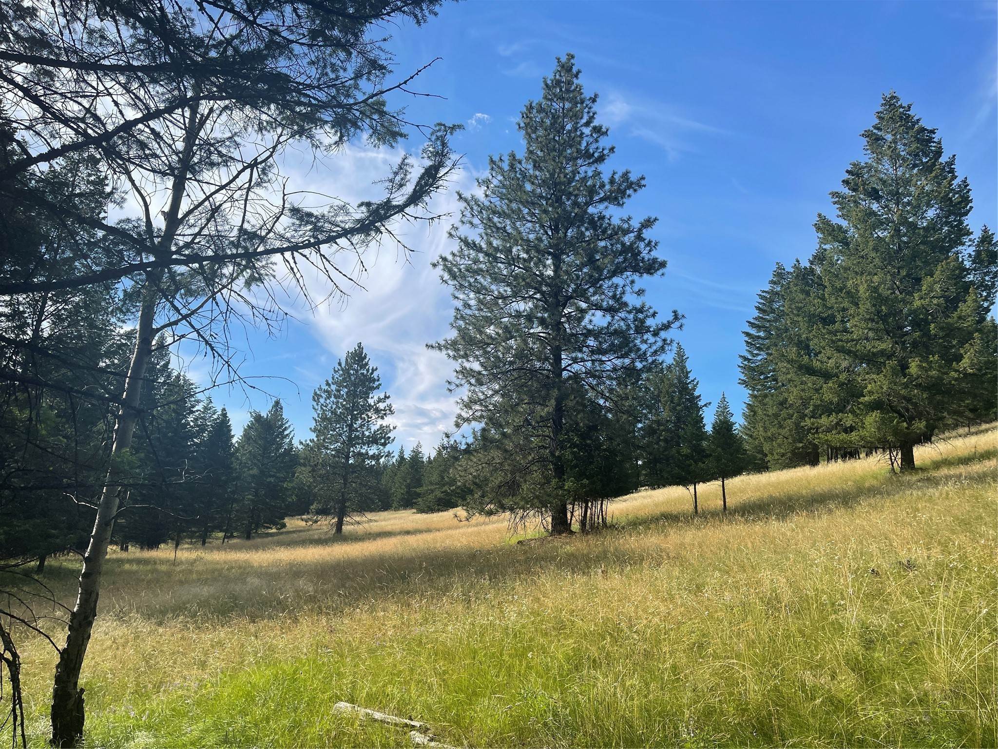 16. Land for Sale at Nhn Highway 93 S, Fortine, Montana 59918 United States