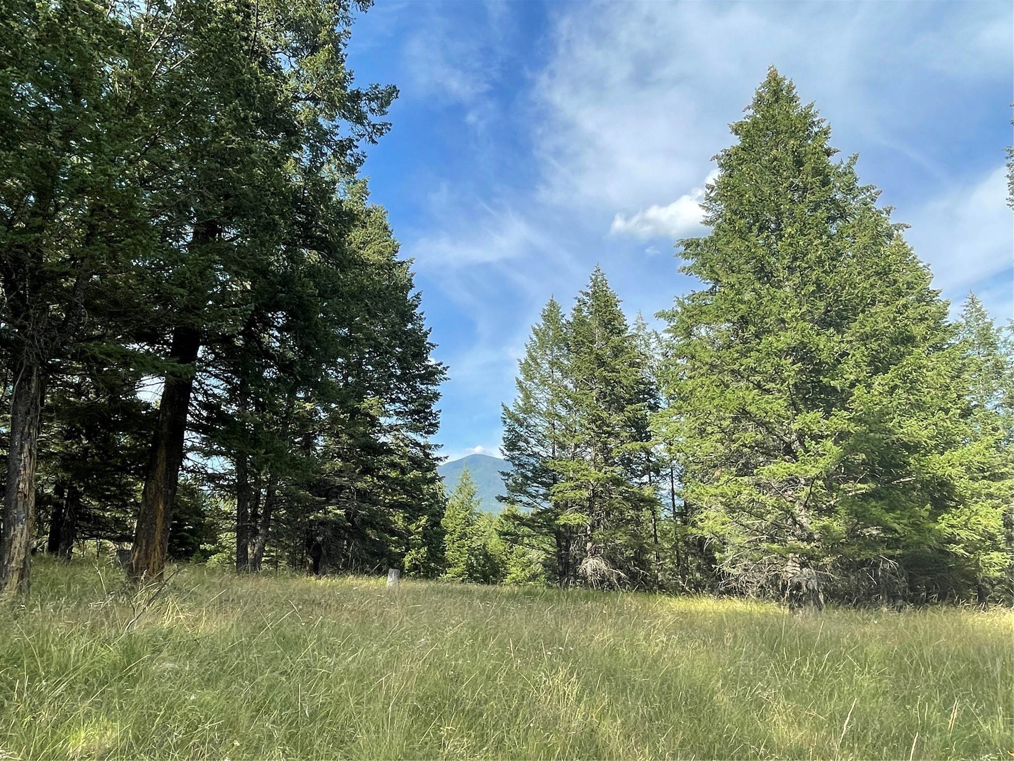 20. Land for Sale at Nhn Highway 93 S, Fortine, Montana 59918 United States