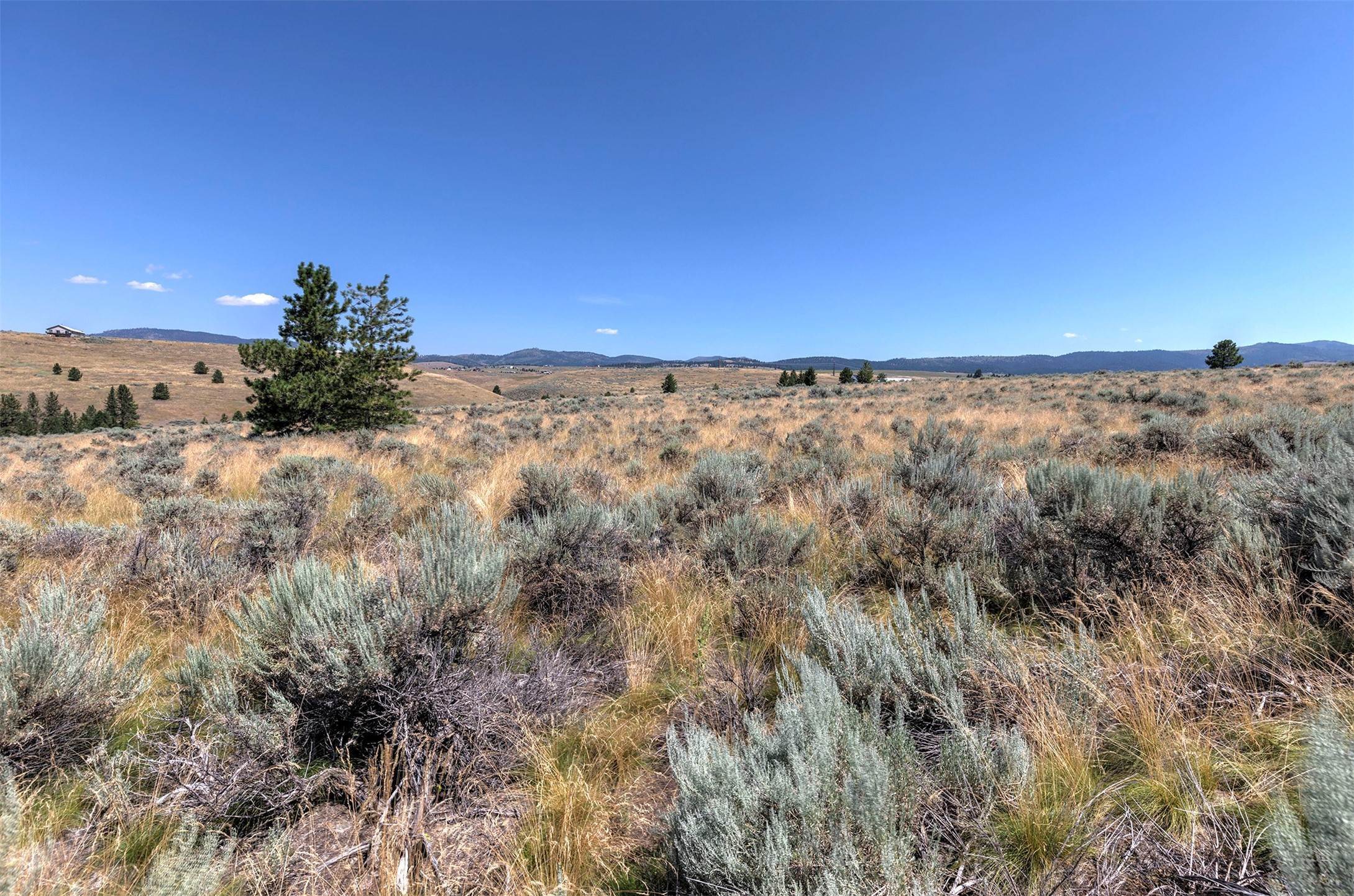 6. Land for Sale at Lot 51 Three Mile Drive N, Stevensville, Montana 59870 United States