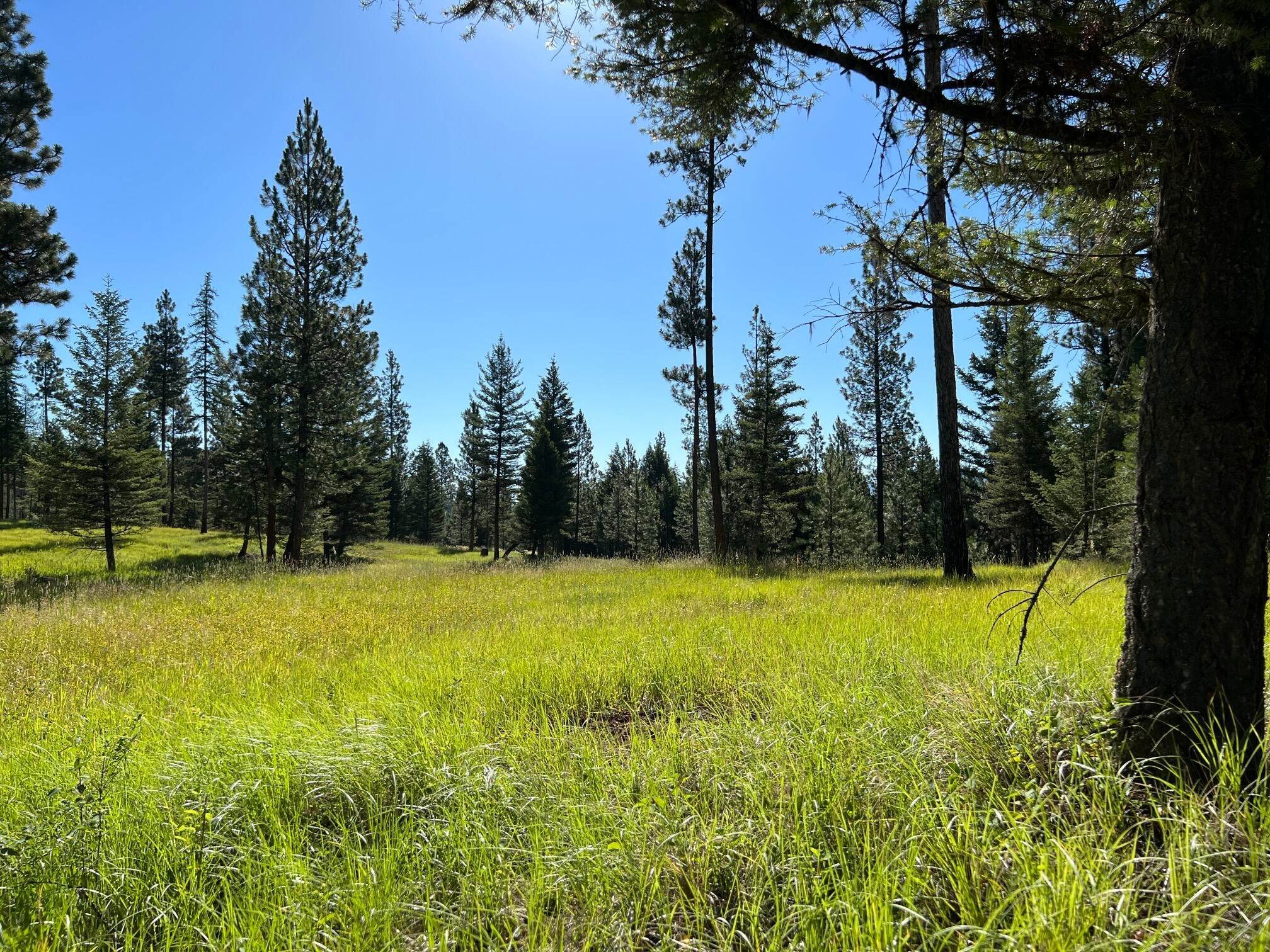 Land for Sale at 8212 Gold Creek Road, Bonner, Montana 59823 United States