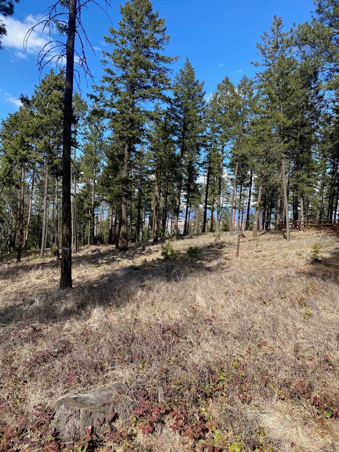 3. Land for Sale at 159 Looking East Drive, Somers, Montana 59932 United States