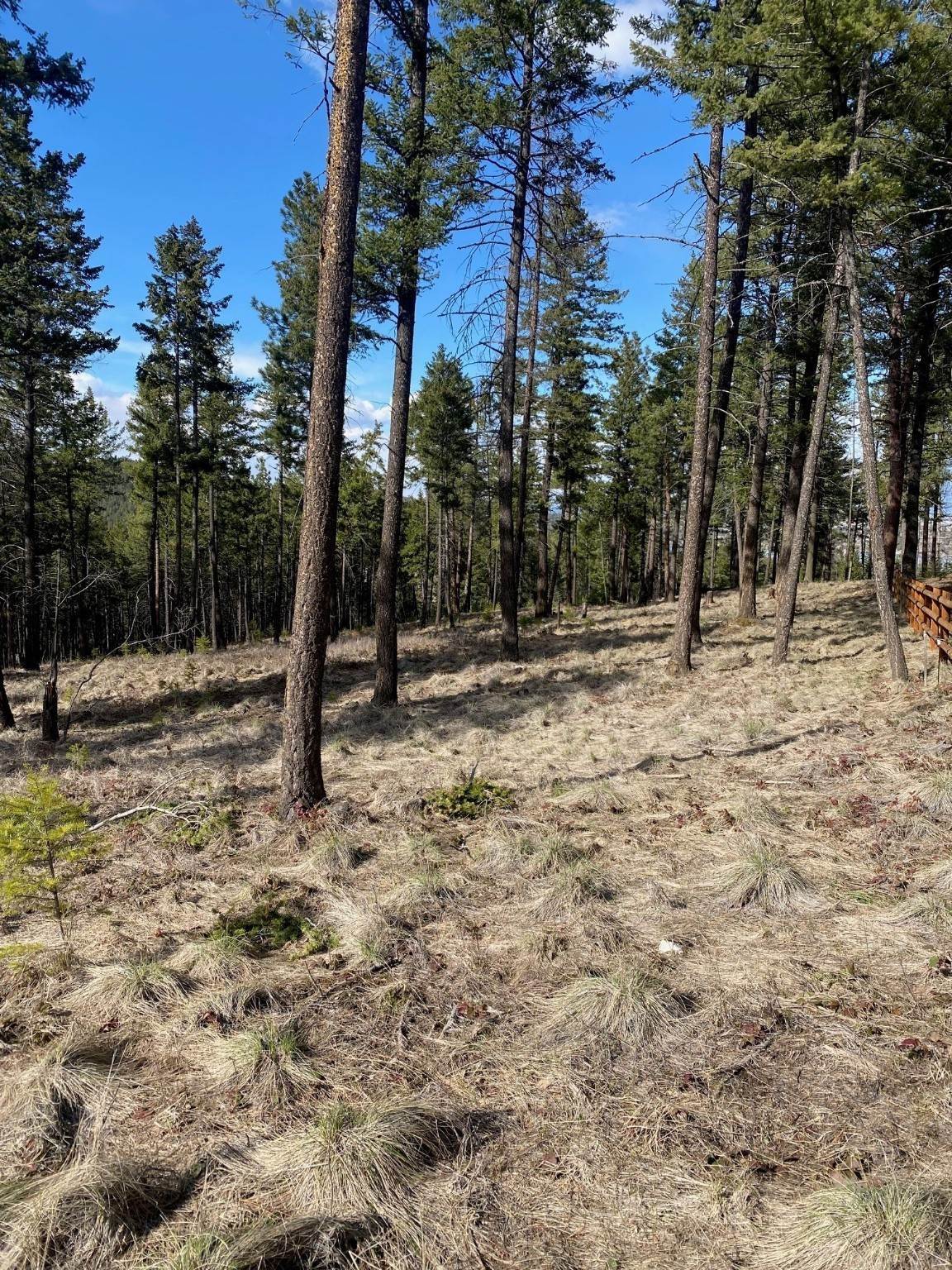 4. Land for Sale at 159 Looking East Drive, Somers, Montana 59932 United States