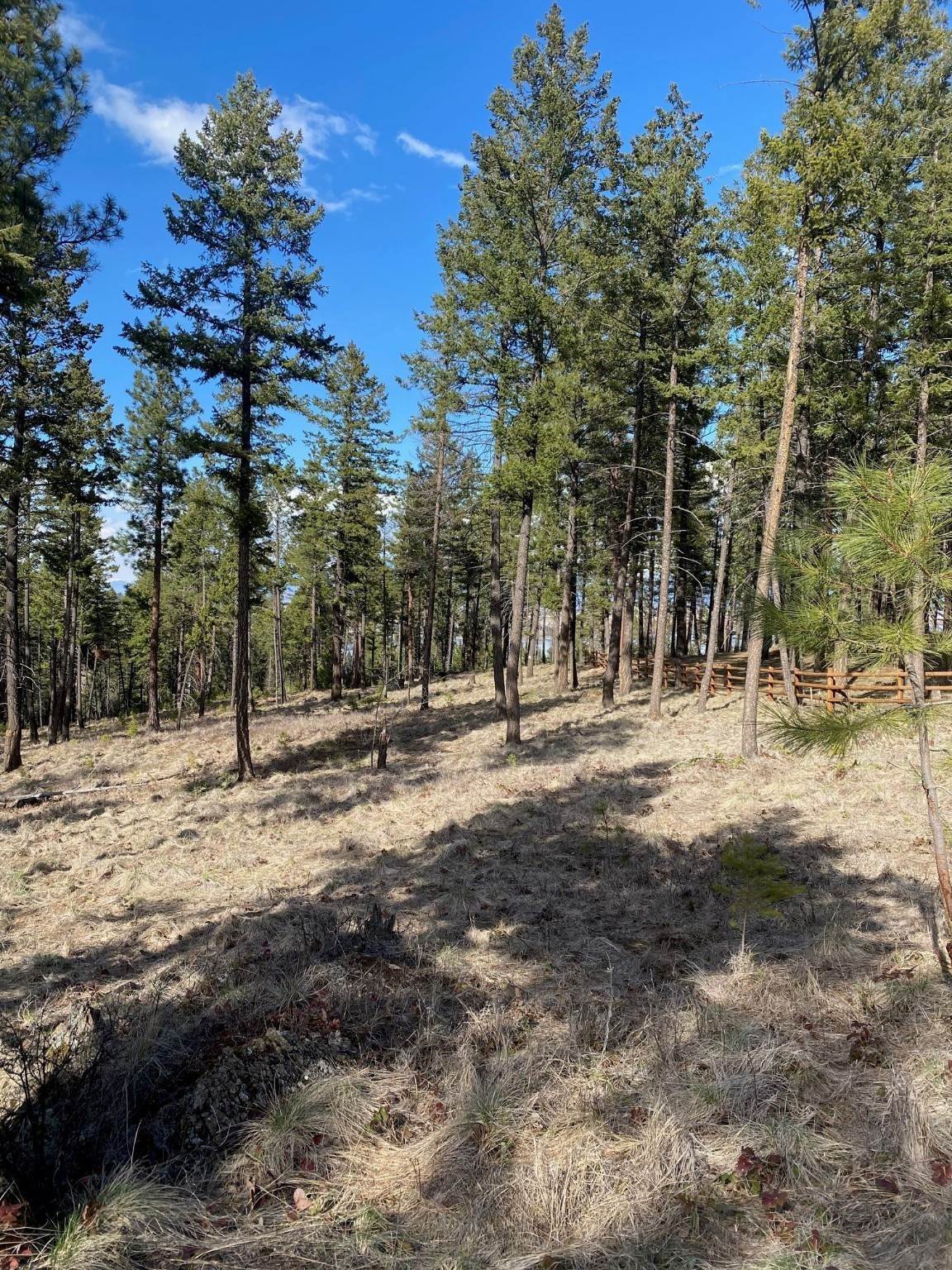6. Land for Sale at 159 Looking East Drive, Somers, Montana 59932 United States