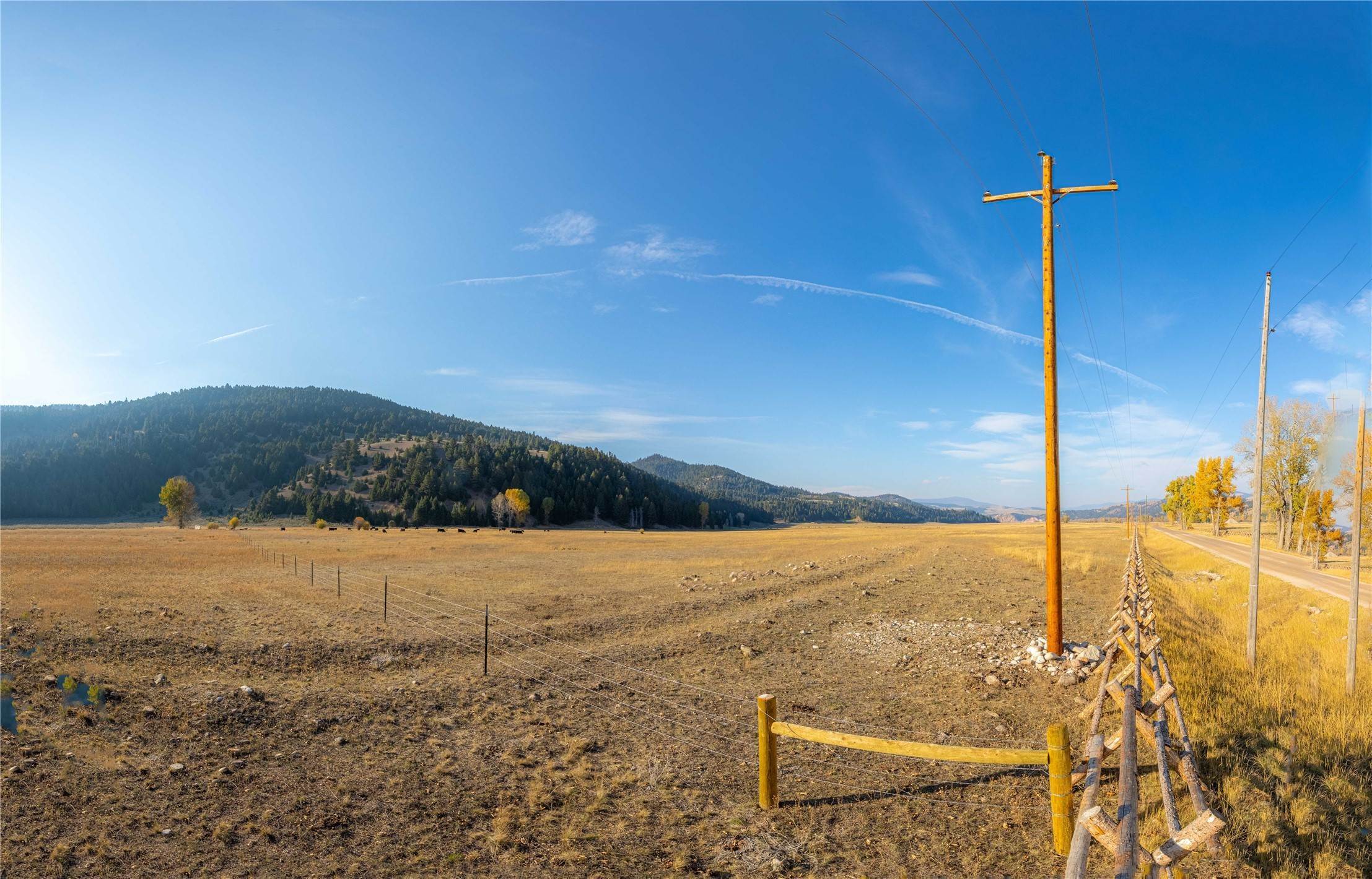 14. Land for Sale at 50 Puller Gulch Lane, Philipsburg, Montana 59858 United States