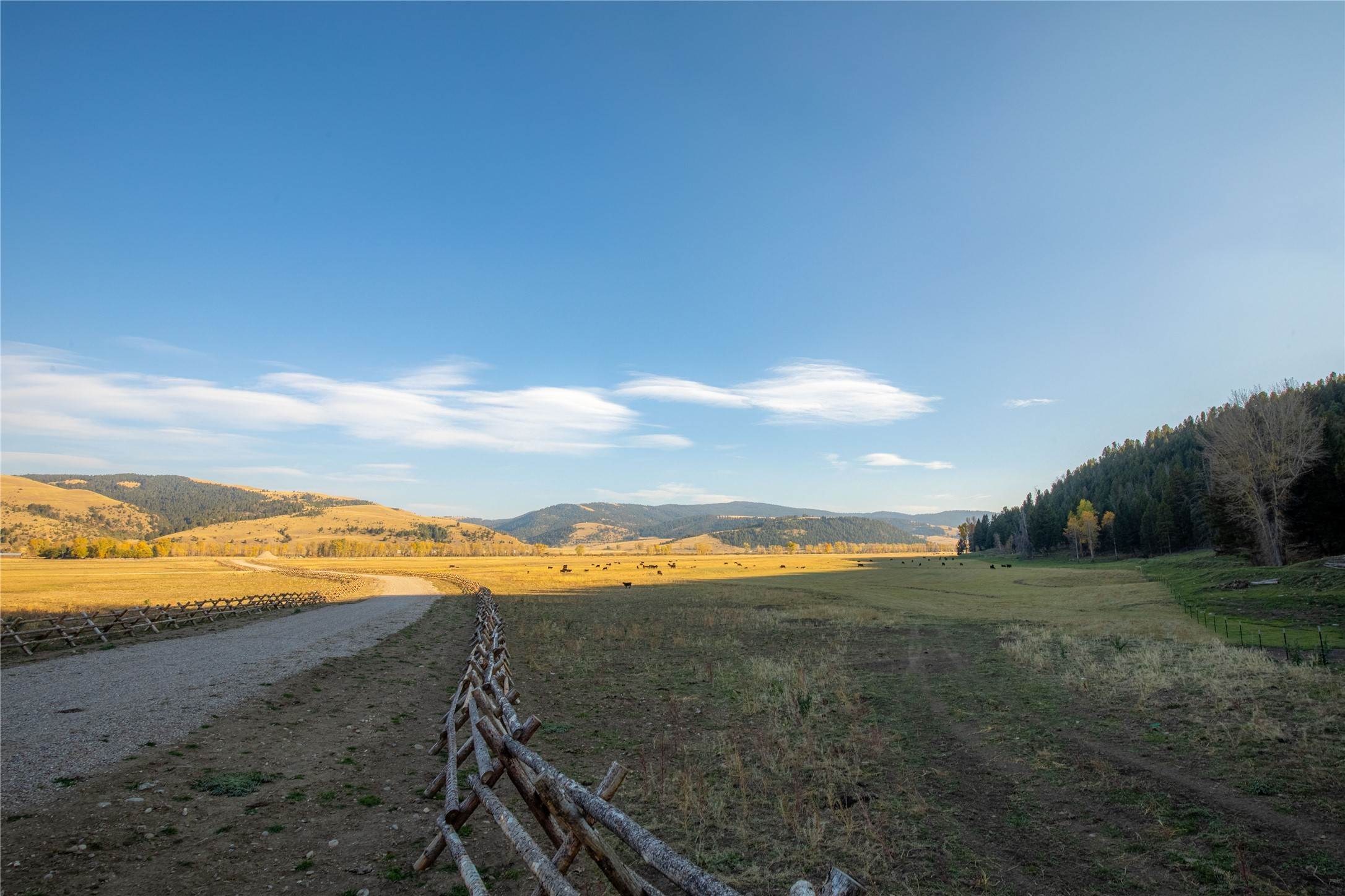 19. Land for Sale at 50 Puller Gulch Lane, Philipsburg, Montana 59858 United States