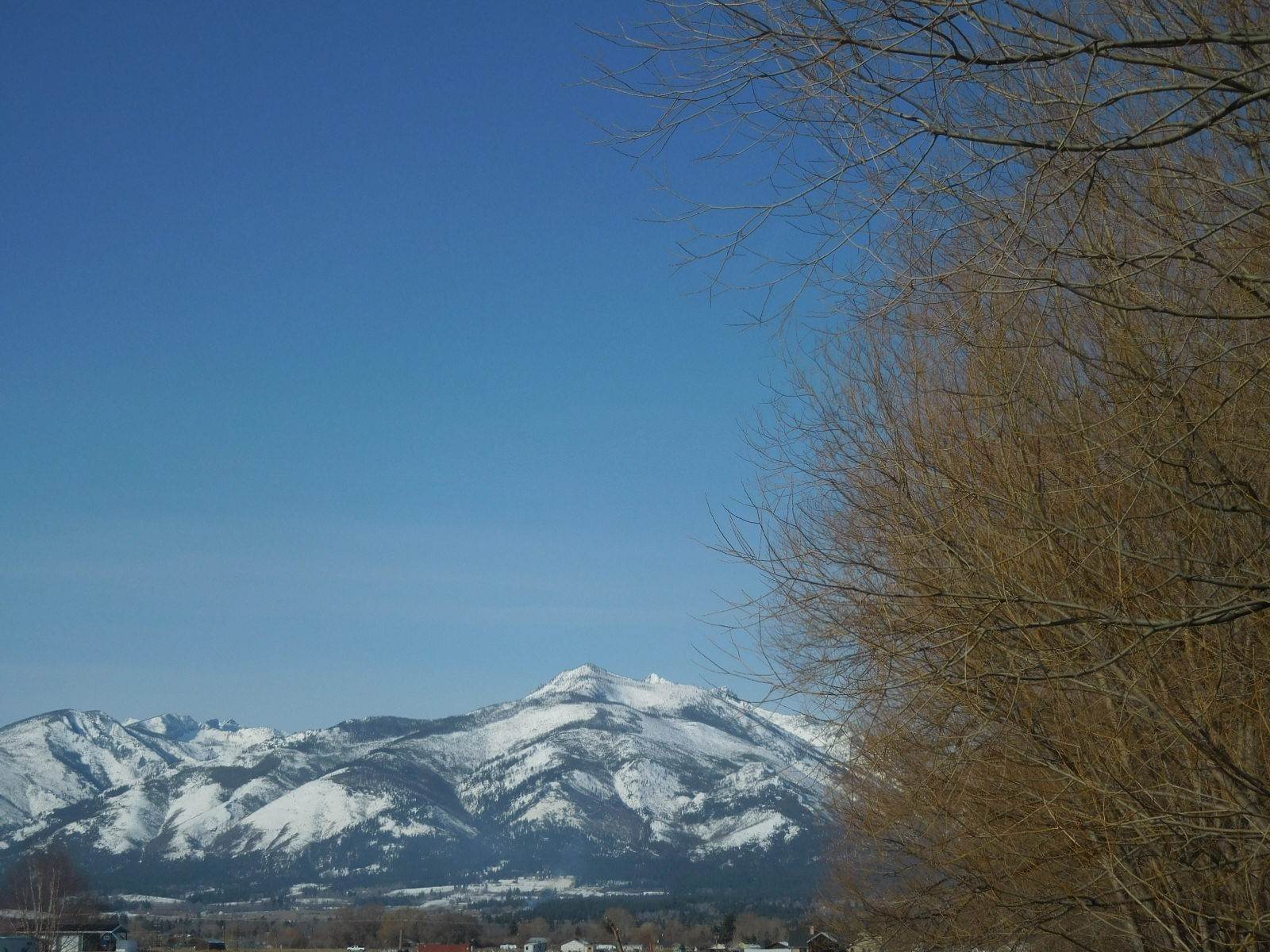 5. Land for Sale at 926 Oil Well Road, Corvallis, Montana 59828 United States