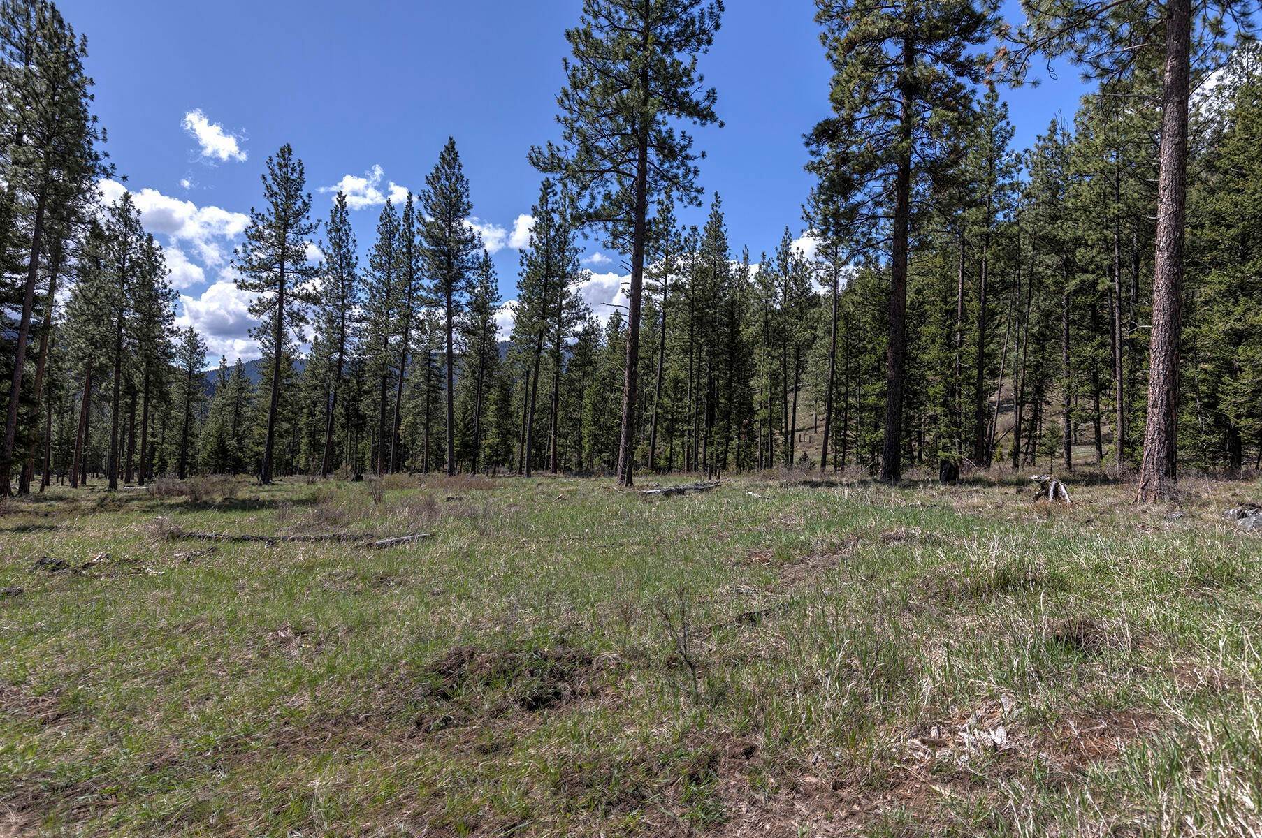 4. Land for Sale at Nhn Us Hwy 10, Tract 3, Alberton, Montana 59820 United States