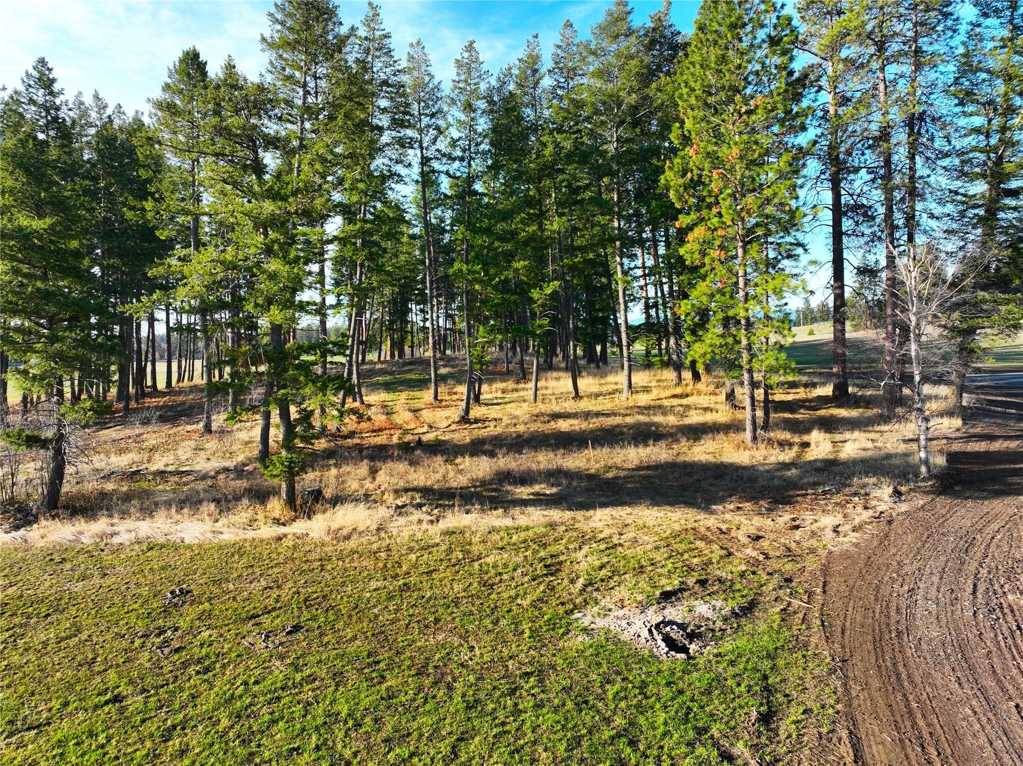 12. Land for Sale at Lot 7 Patriots Lane, Columbia Falls, Montana 59912 United States