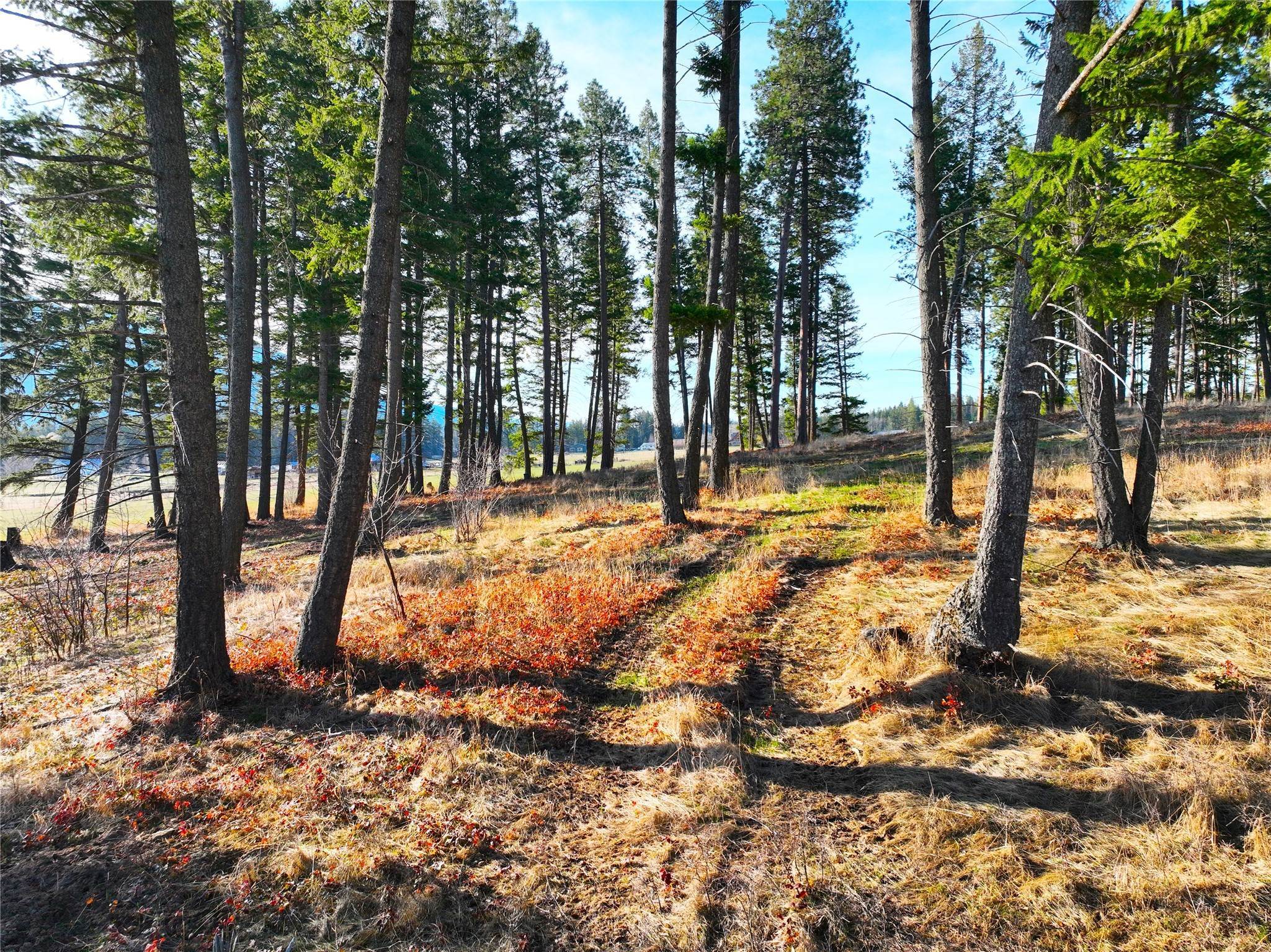 16. Land for Sale at Lot 7 Patriots Lane, Columbia Falls, Montana 59912 United States