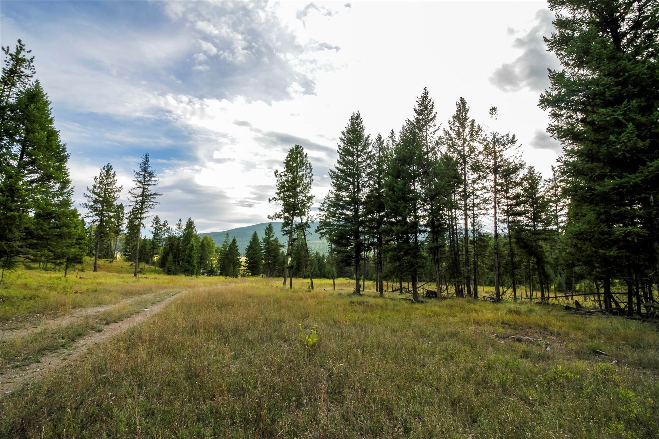 13. Land for Sale at NHN Browns Meadow Road, Kila, Montana 59920 United States