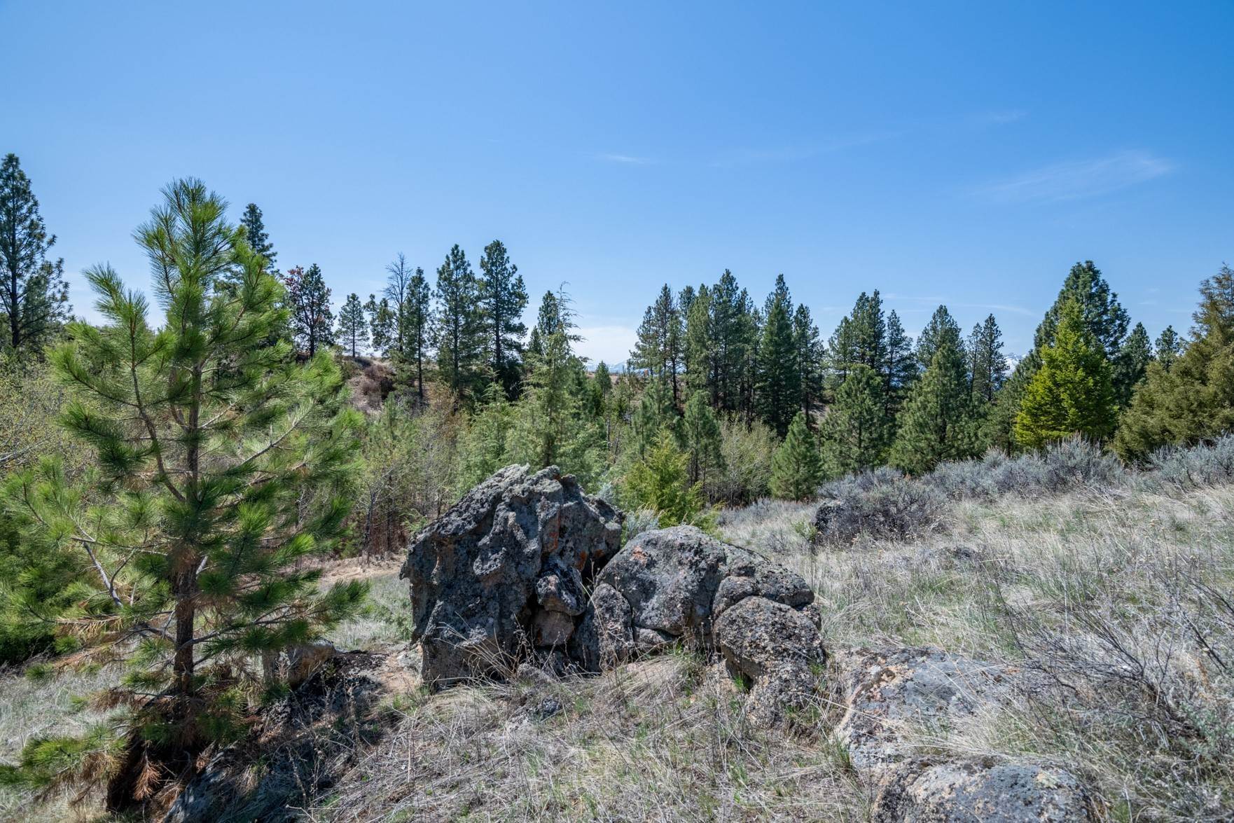 13. Land for Sale at Tract 265 Sapphire Ranch Trail, Corvallis, Montana 59828 United States