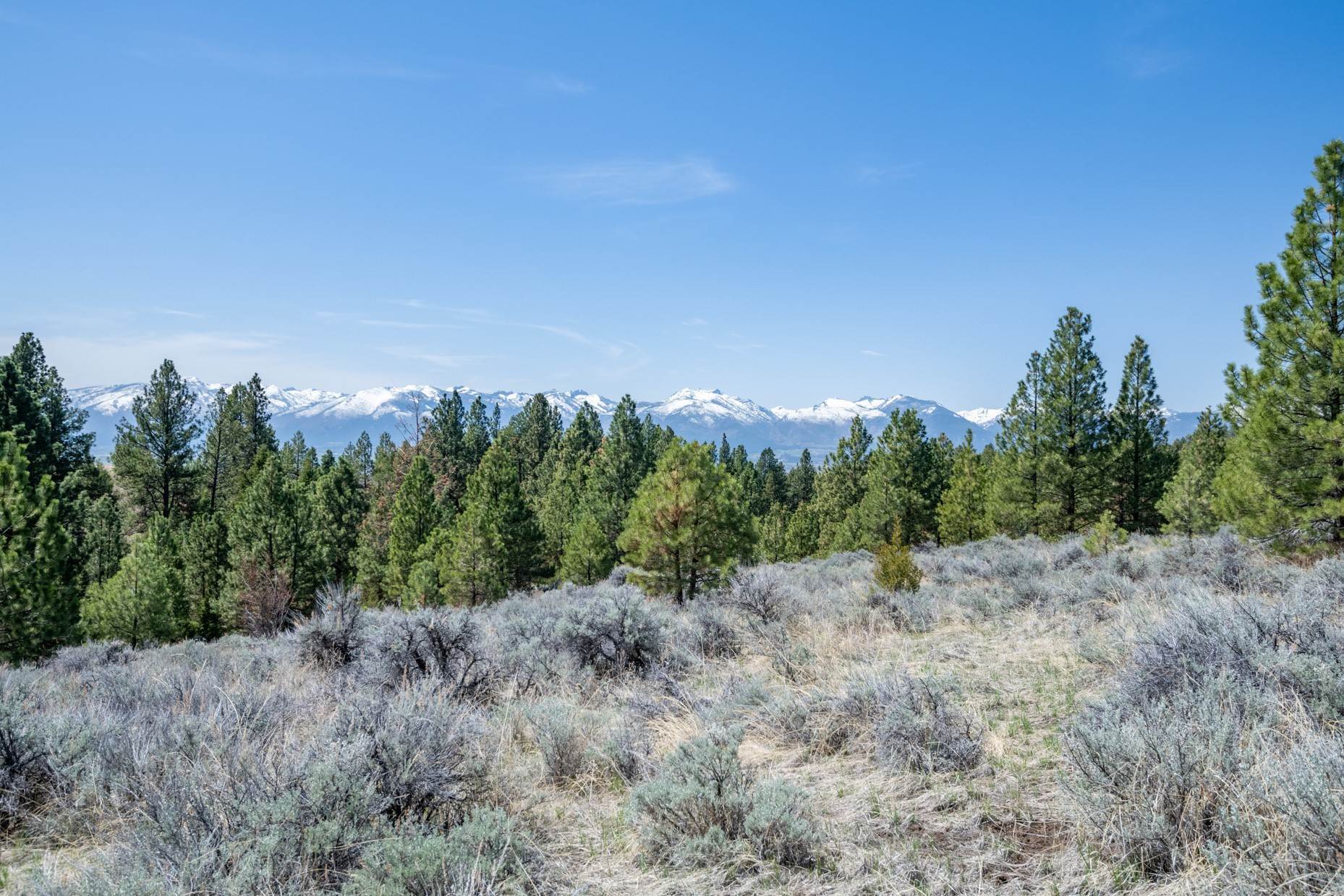 14. Land for Sale at Tract 265 Sapphire Ranch Trail, Corvallis, Montana 59828 United States
