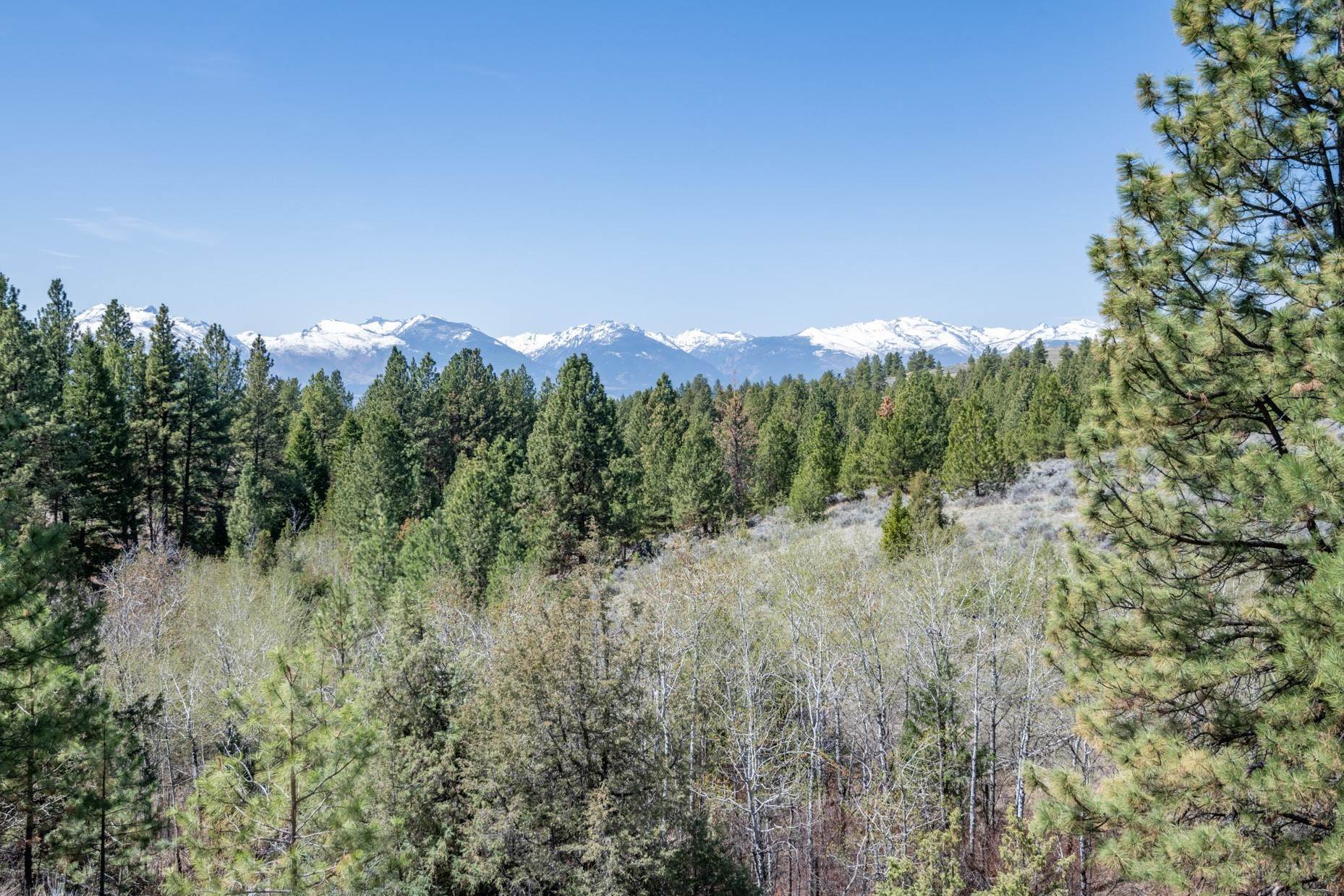 9. Land for Sale at Tract 265 Sapphire Ranch Trail, Corvallis, Montana 59828 United States