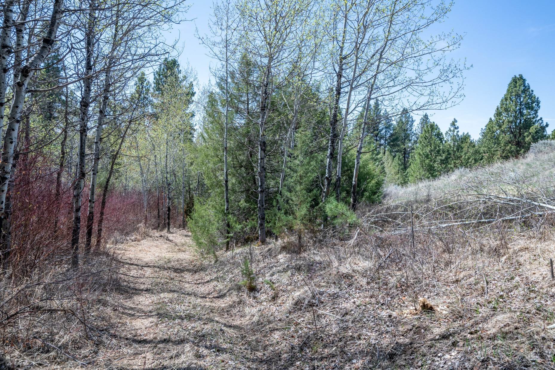 11. Land for Sale at Tract 265 Sapphire Ranch Trail, Corvallis, Montana 59828 United States