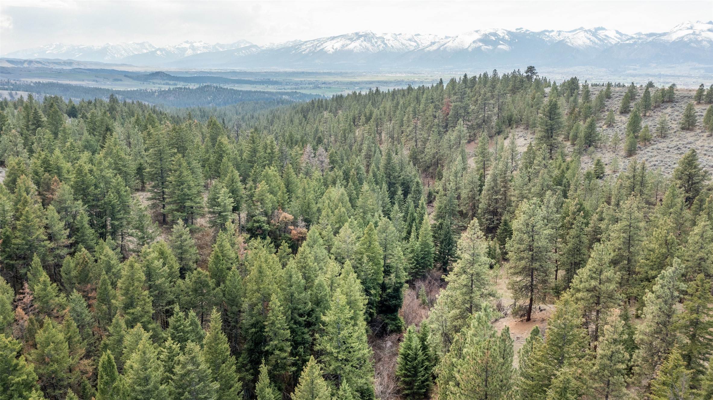 6. Land for Sale at Tract 273 Sapphire Ranch Trail, Corvallis, Montana 59828 United States