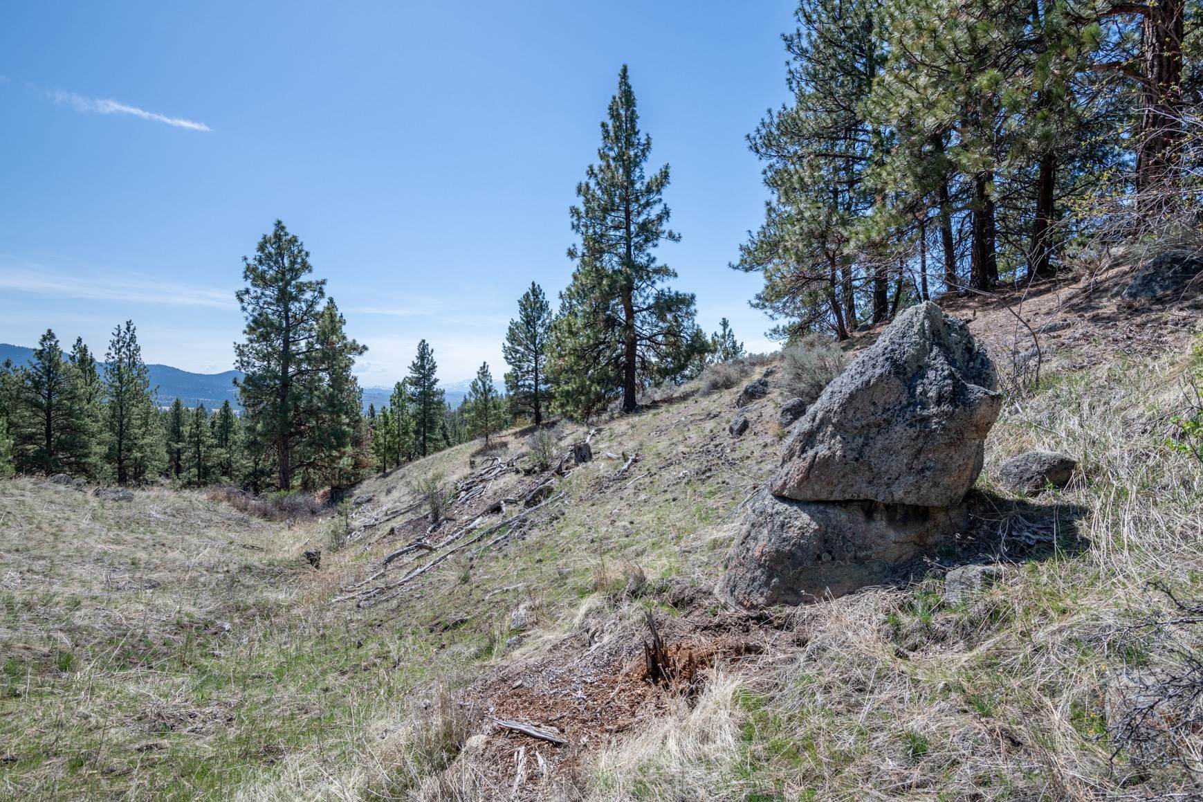 10. Land for Sale at Tract 273 Sapphire Ranch Trail, Corvallis, Montana 59828 United States