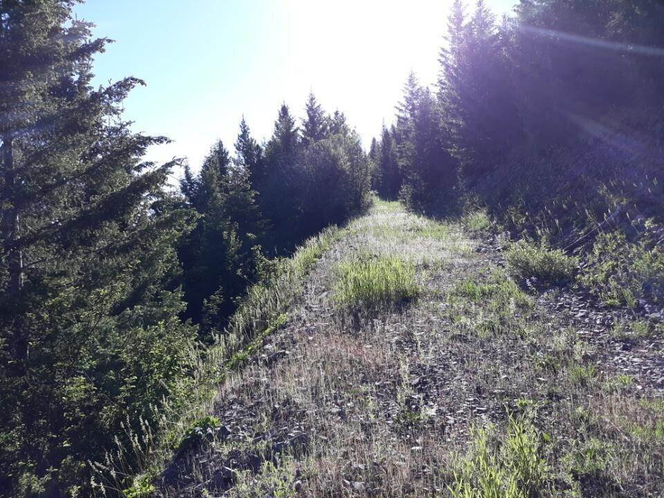 10. Land for Sale at NhnDEGHC,TRACT 1,PLAT D17 Larch Camp Road, Missoula, Montana 59803 United States