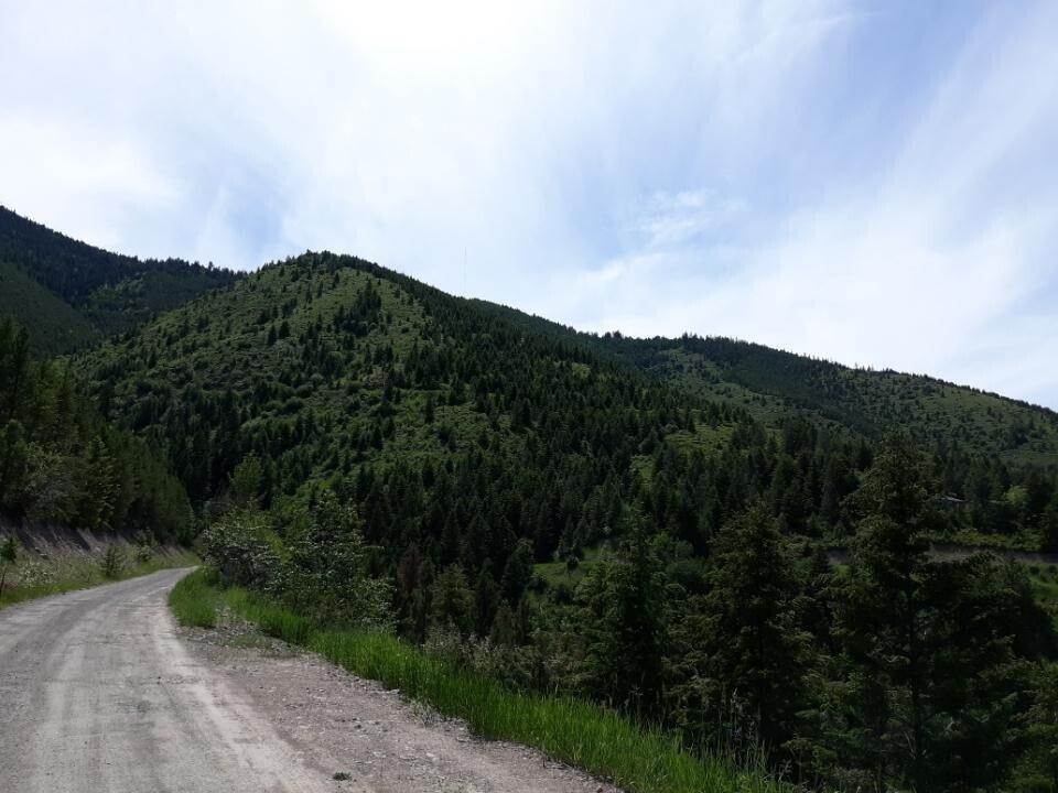 3. Land for Sale at NhnDEGHC,TRACT 1,PLAT D17 Larch Camp Road, Missoula, Montana 59803 United States