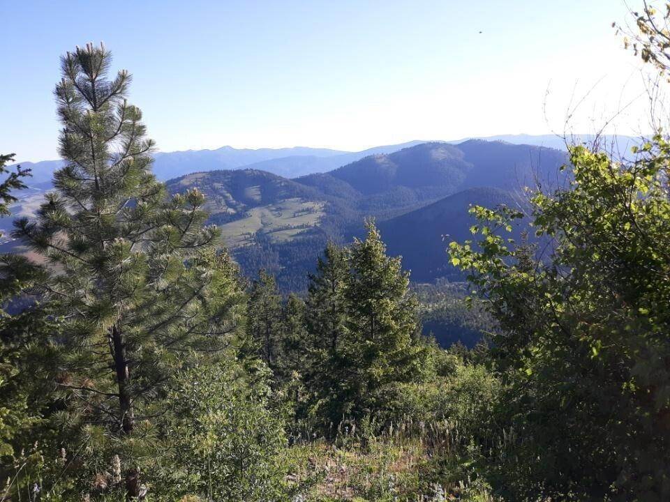 5. Land for Sale at NhnDEGHC,TRACT 1,PLAT D17 Larch Camp Road, Missoula, Montana 59803 United States