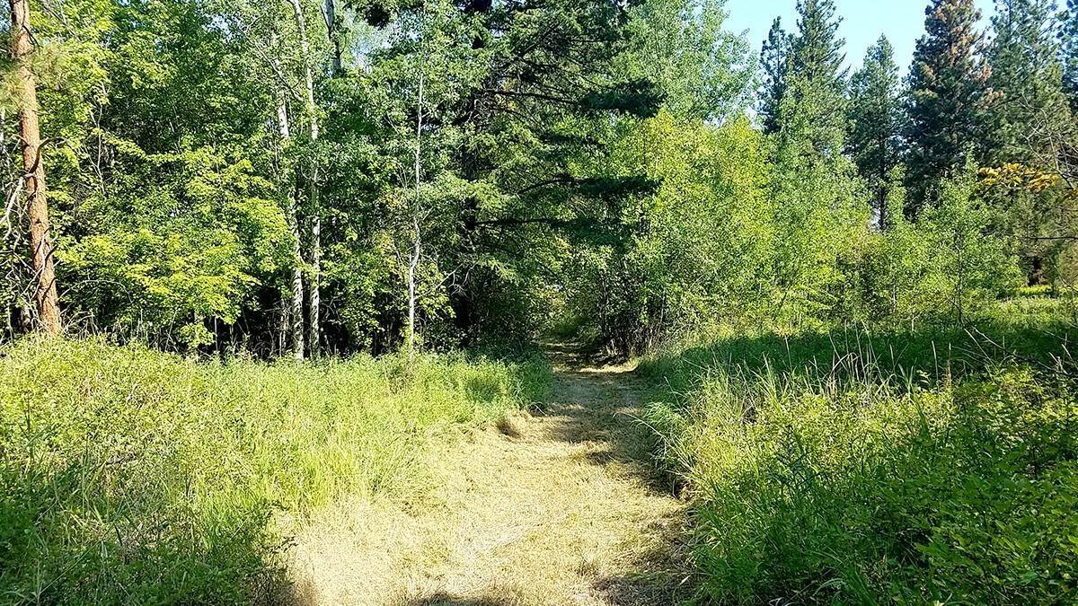 20. Land for Sale at 39784 US Highway 93, Polson, Montana 59860 United States